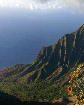 Kalalau pan for parents