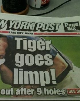 tiger