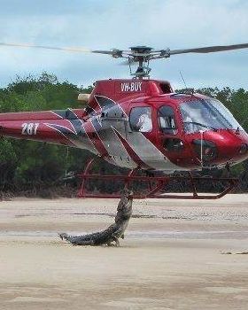 crock chopper