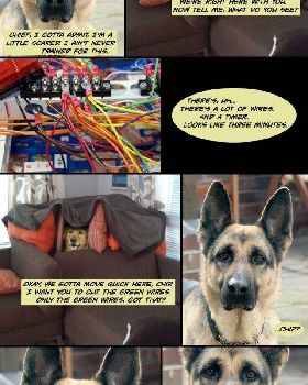 Dog-Fort-meme05
