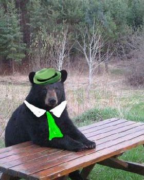 bear cliche