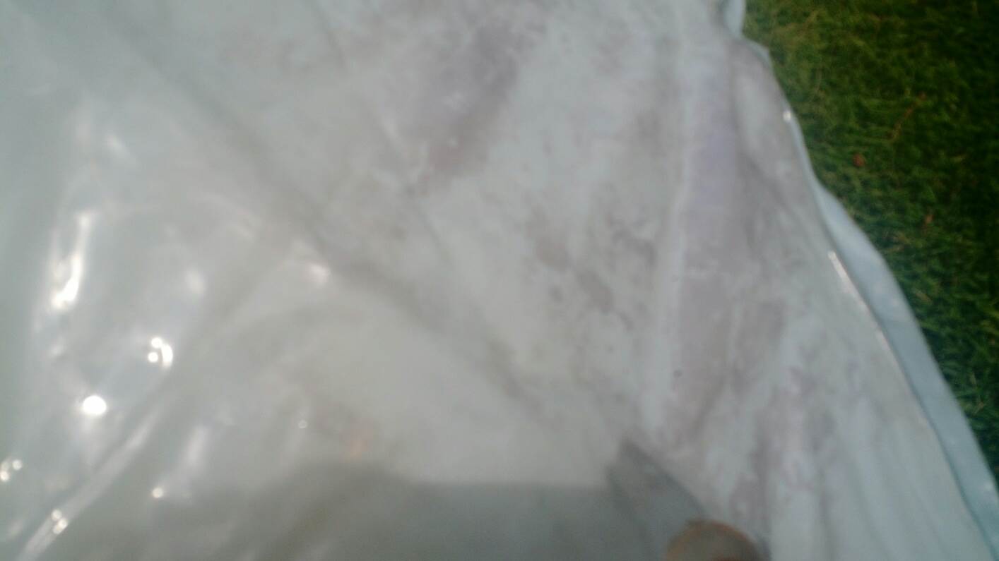 scaled image