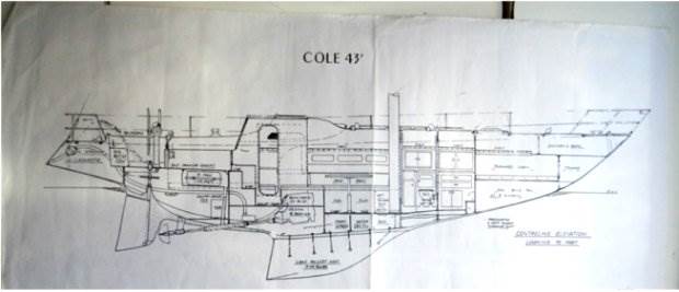 Cole45