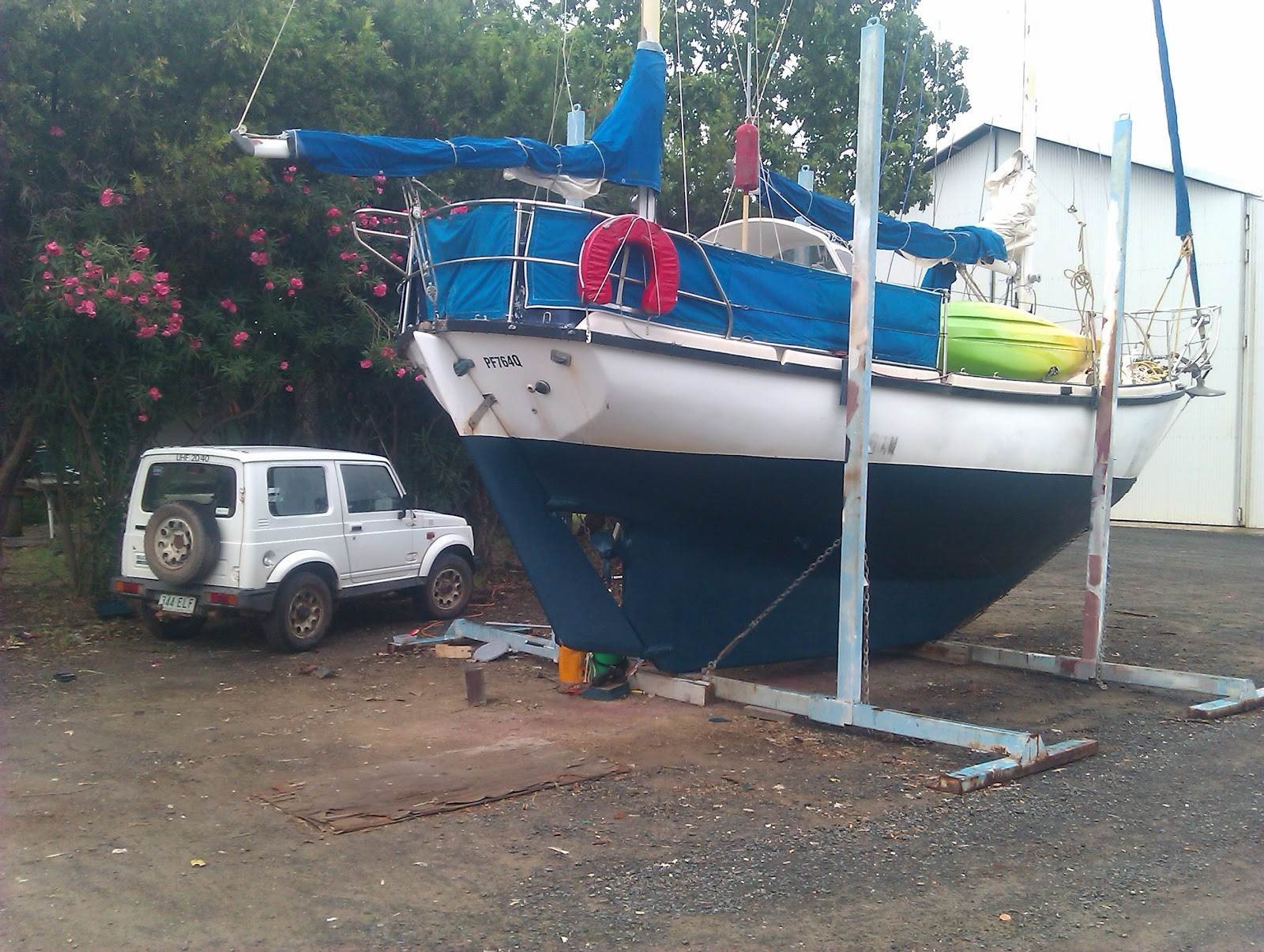 colombo stern