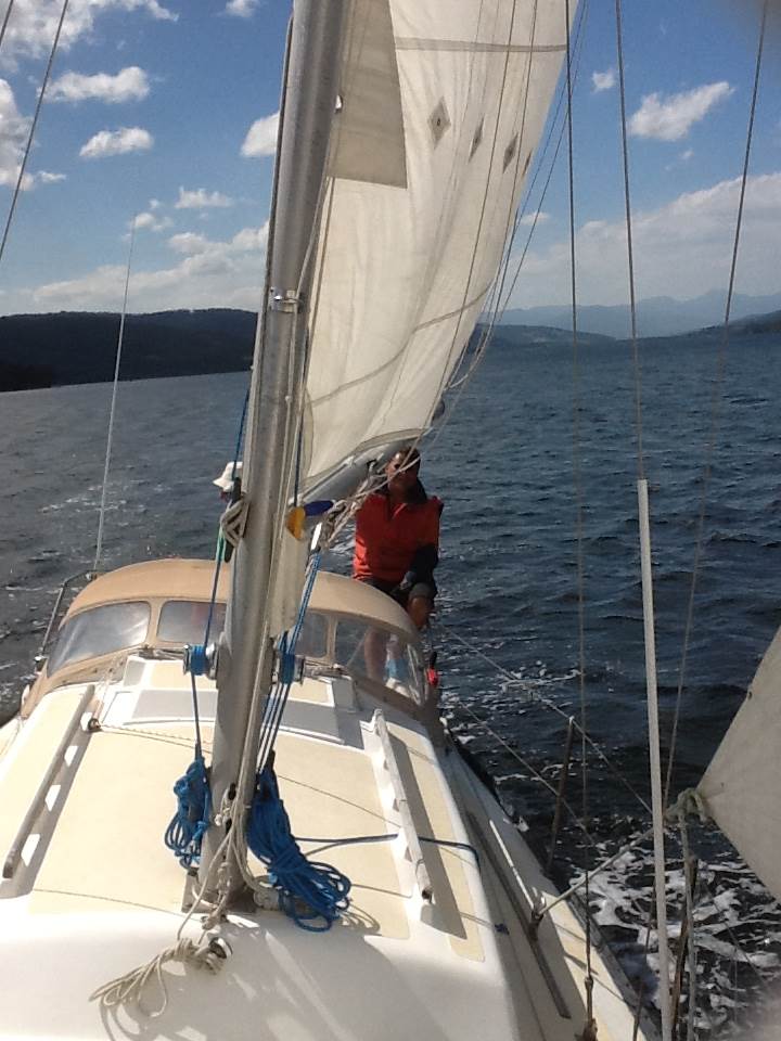 image1 (1)