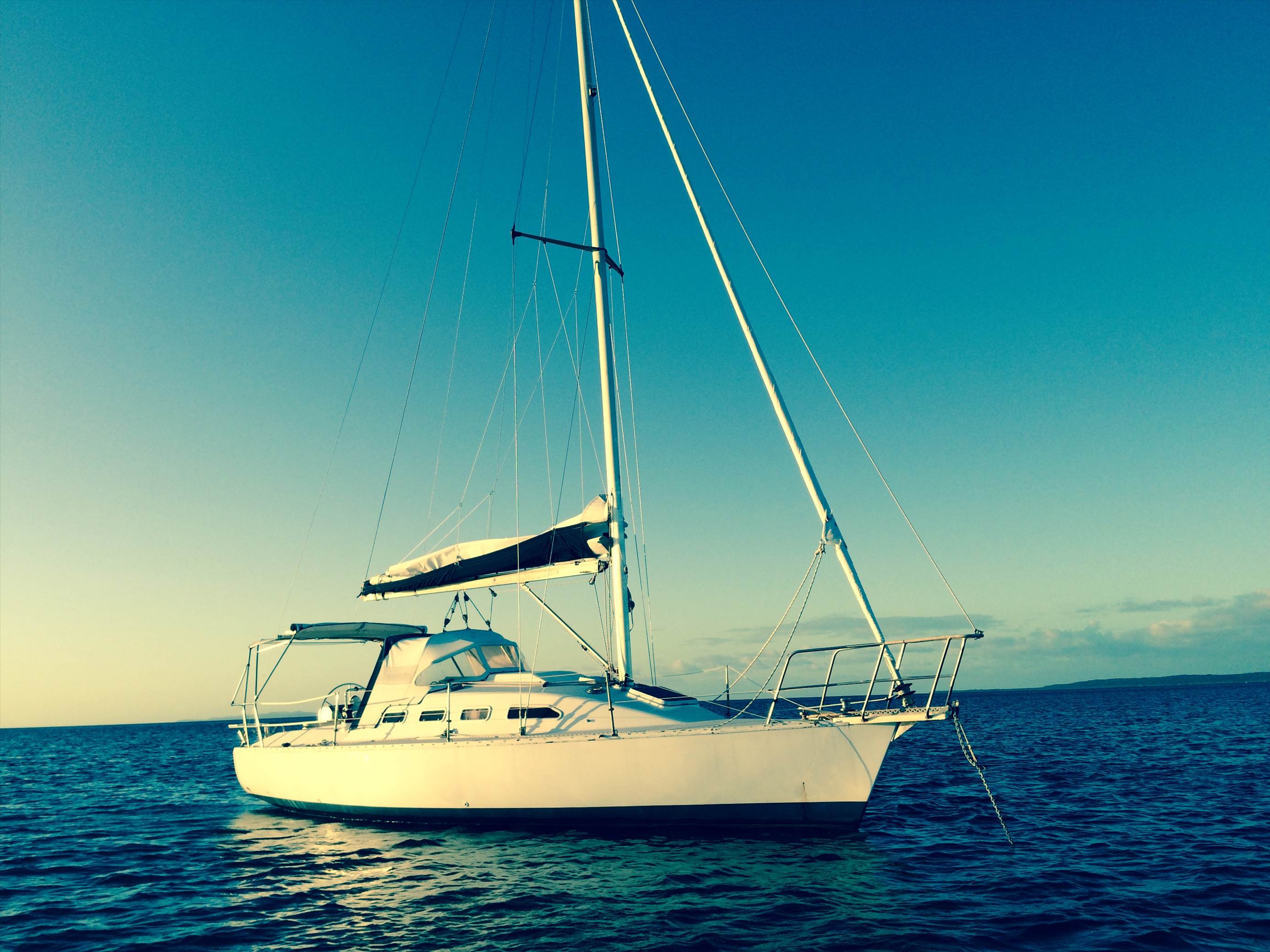 seabird 2