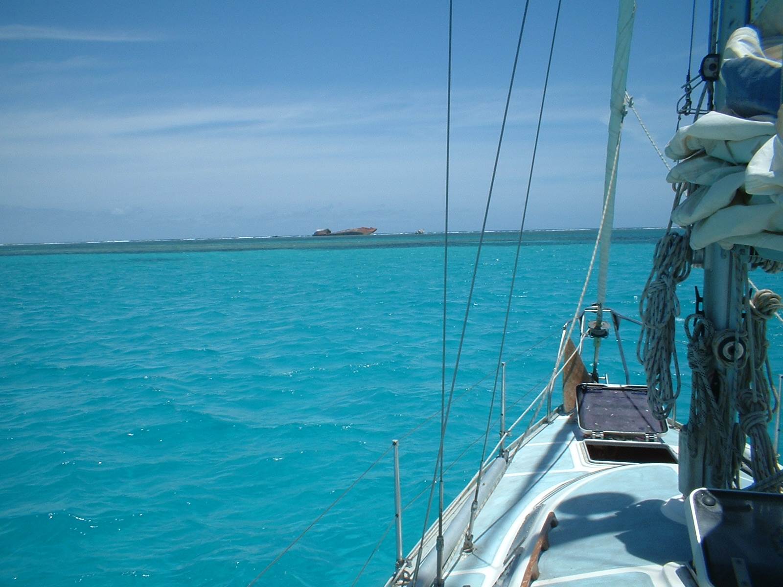 elisabeth reef