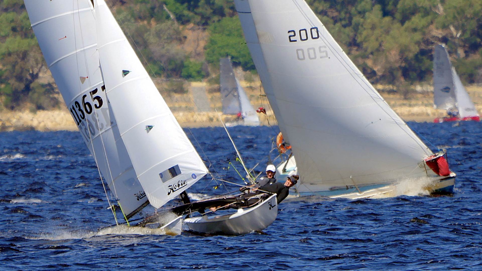 Hobie 16s