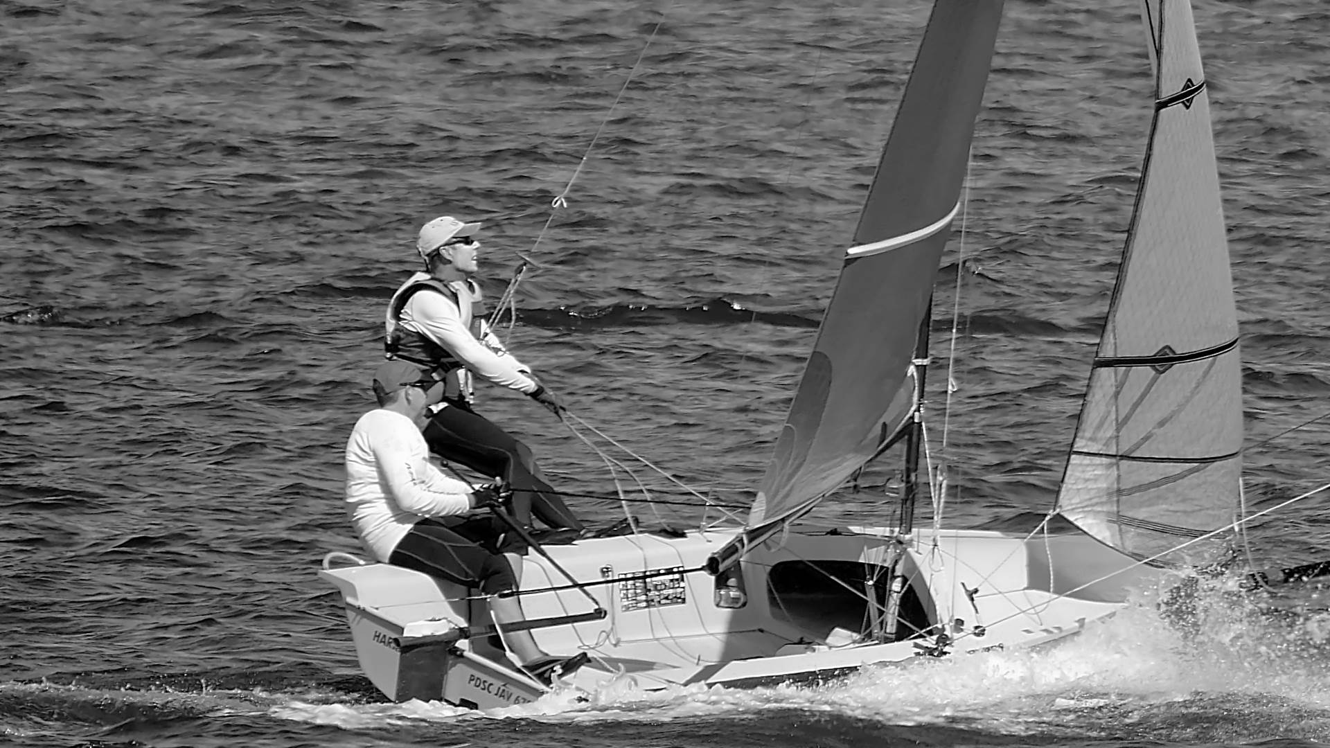 Javelins on Swan