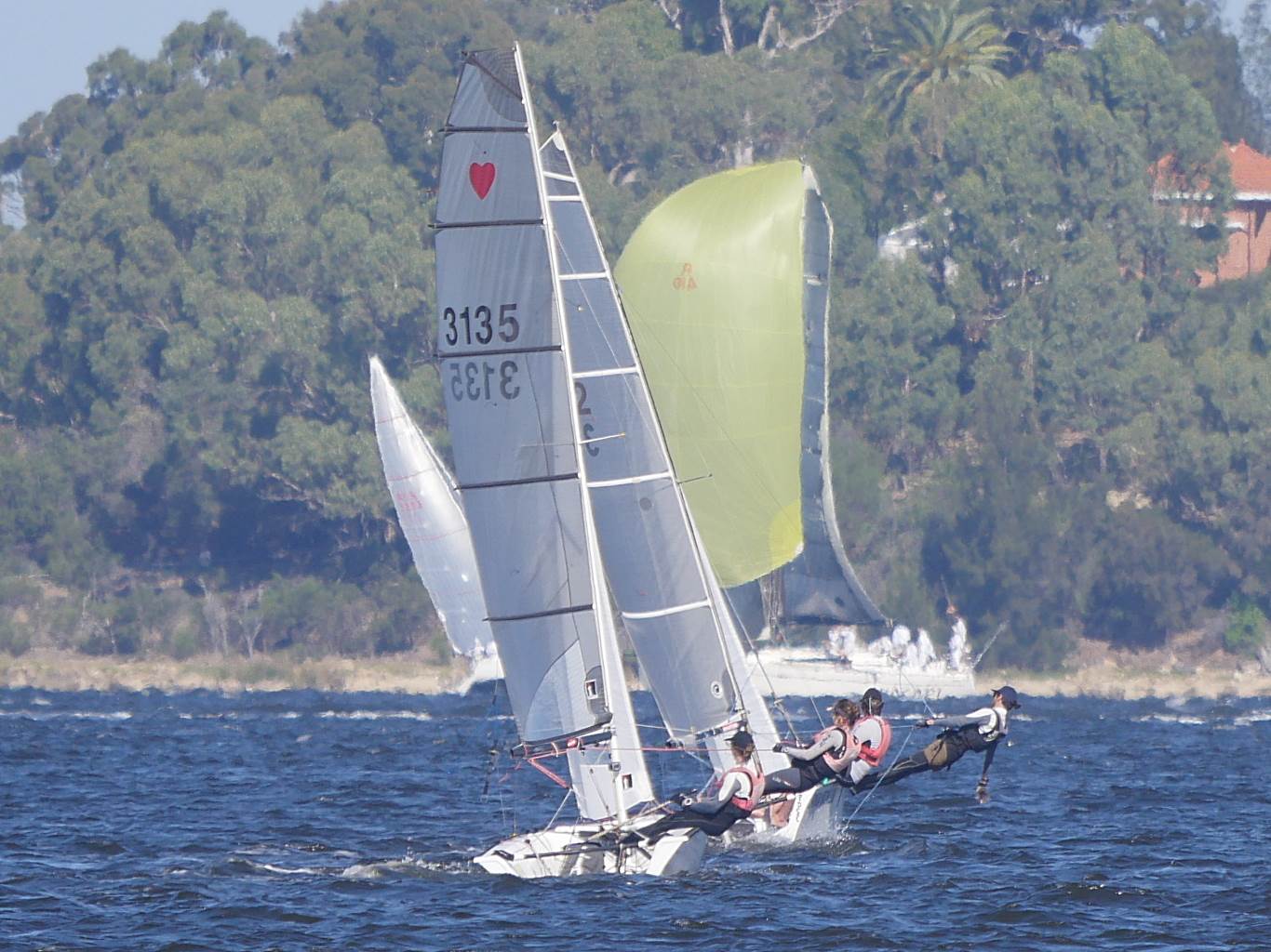 Cherubs on Swan River