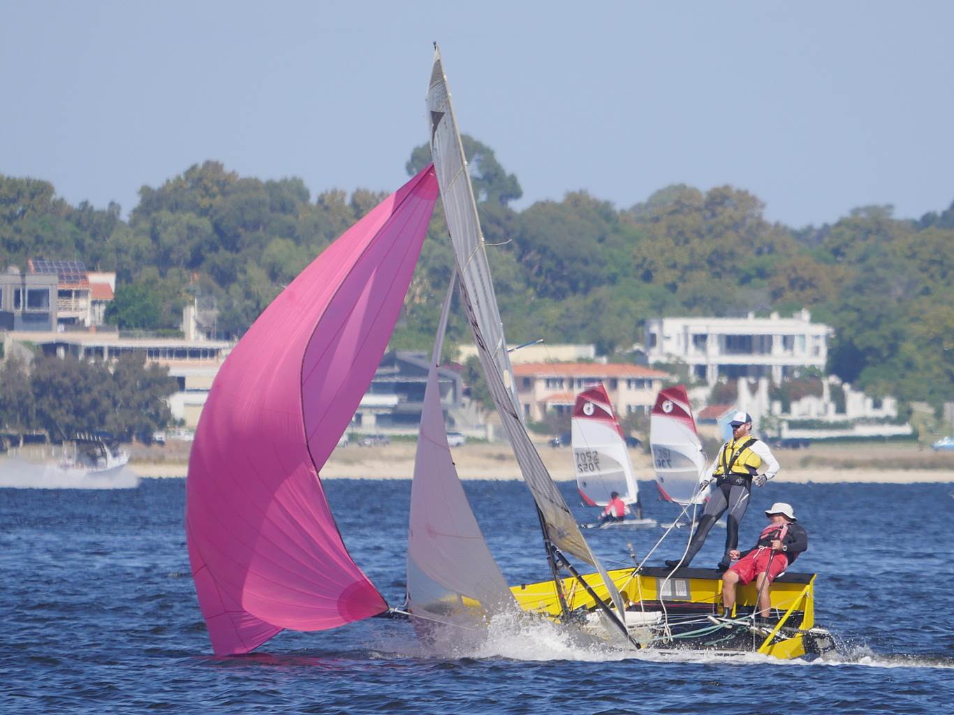 Javelins on Swan