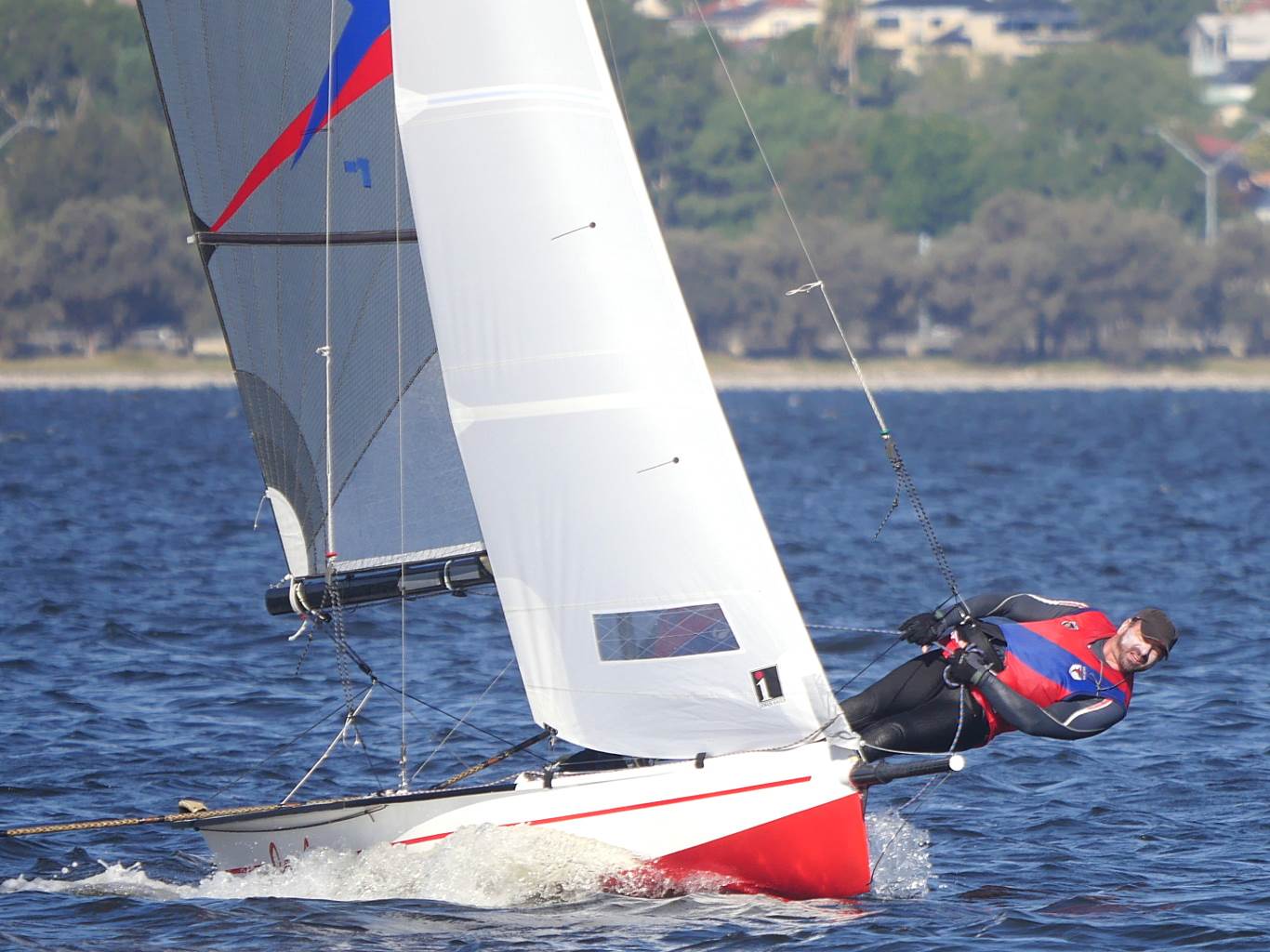 Javelins on Swan