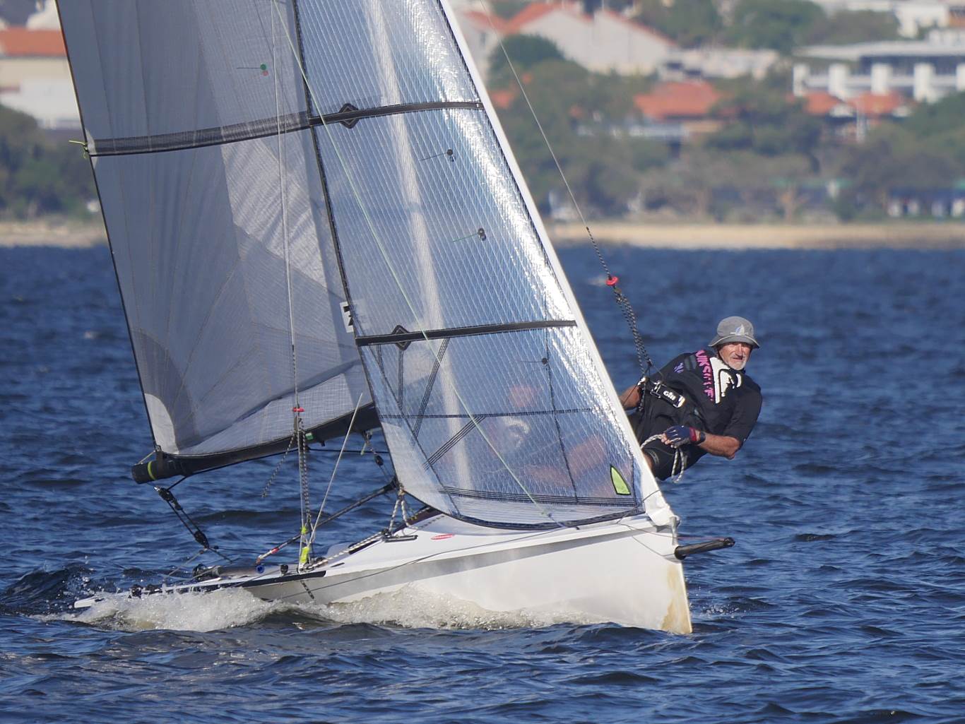 Javelins on Swan