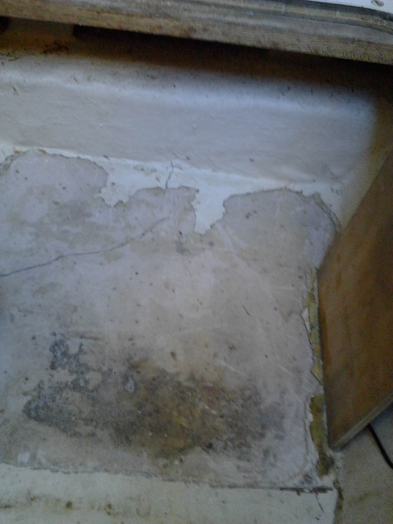 Pic 0617 358