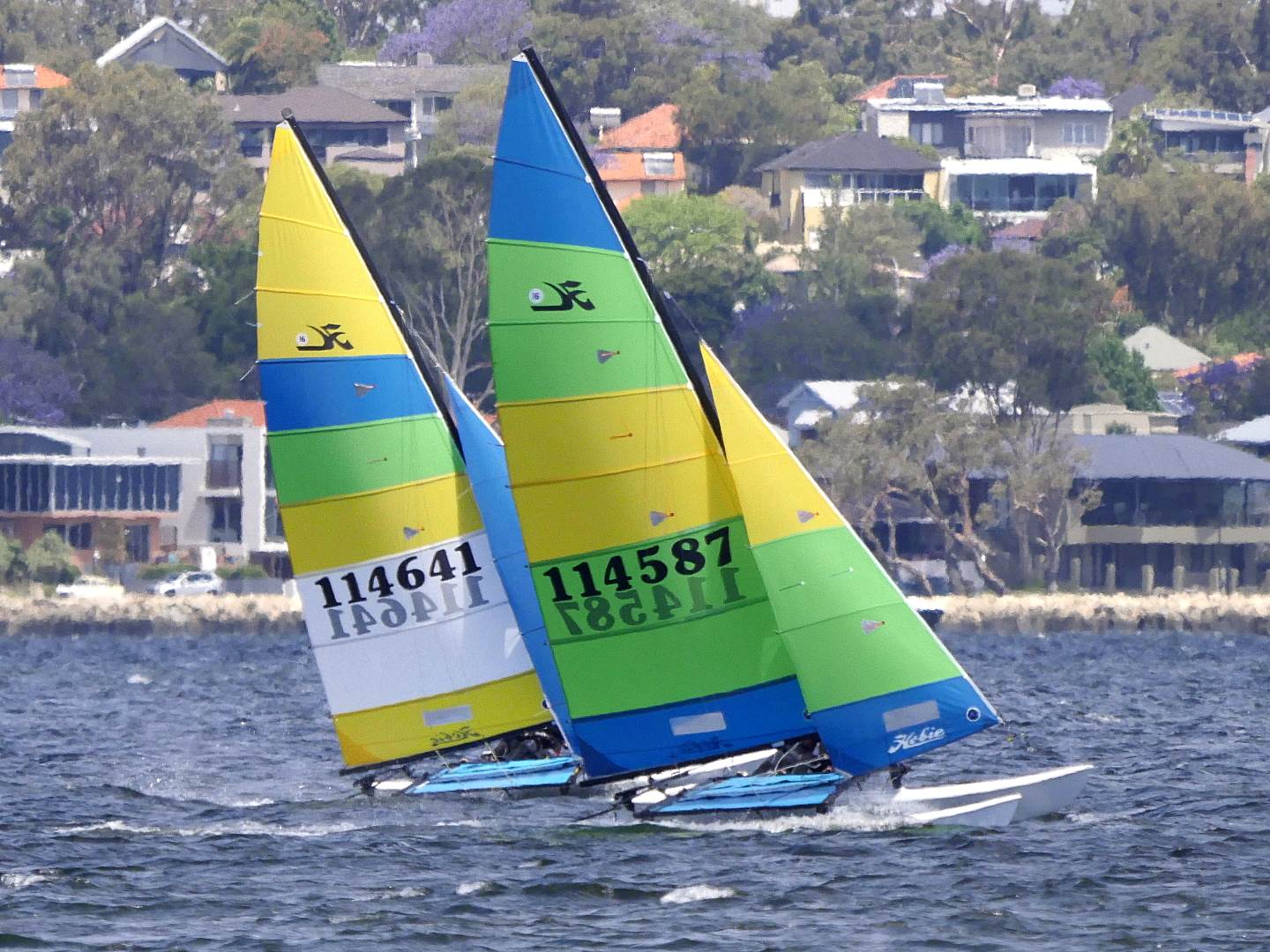 Hobie Cats NYC