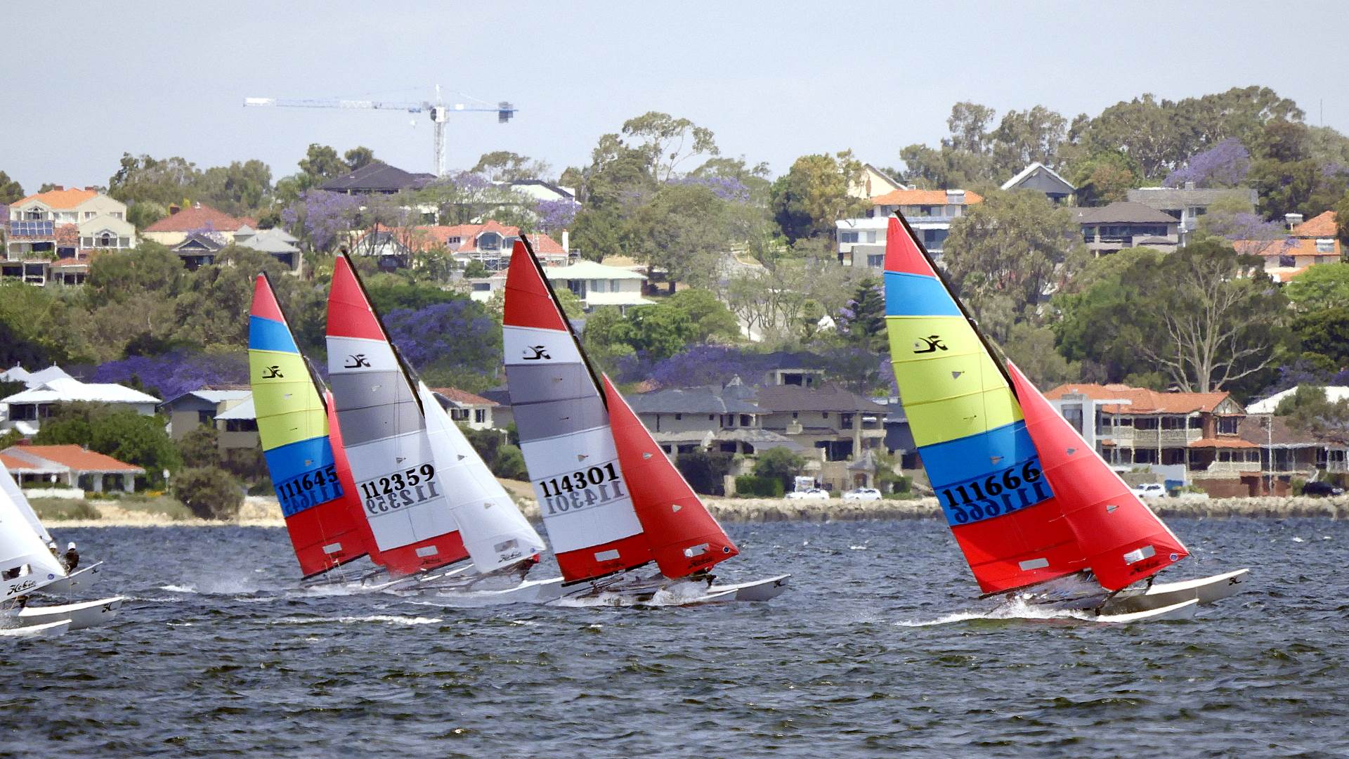 Hobie Cats NYC