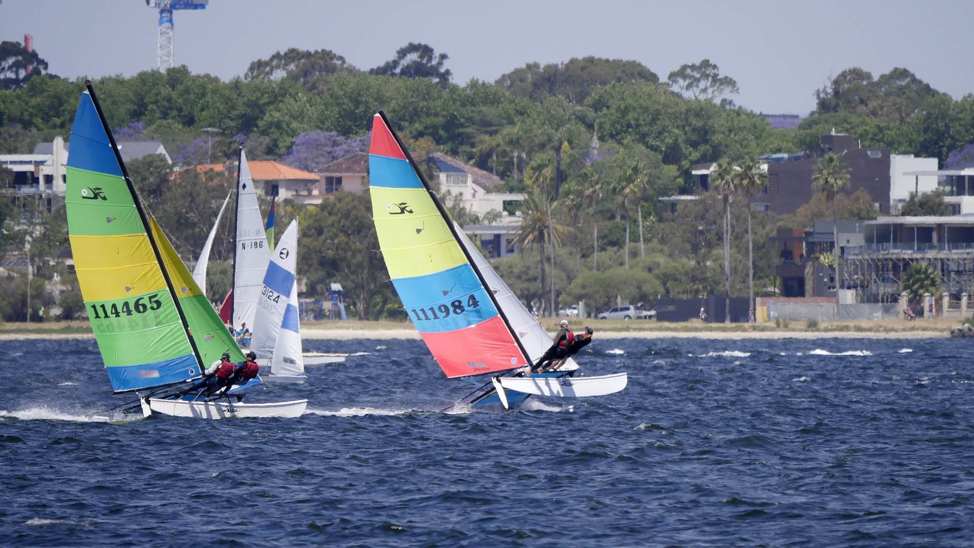 Hobie Cats NYC