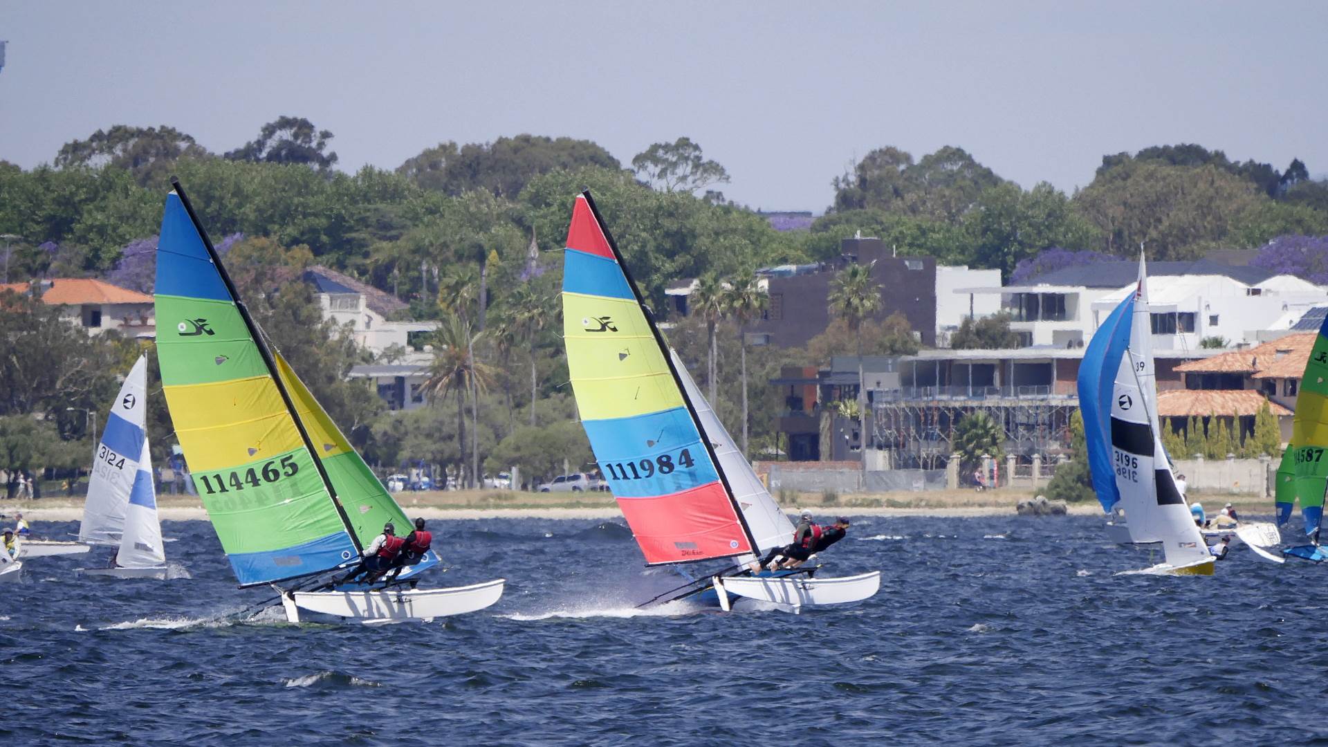 Hobie Cats NYC