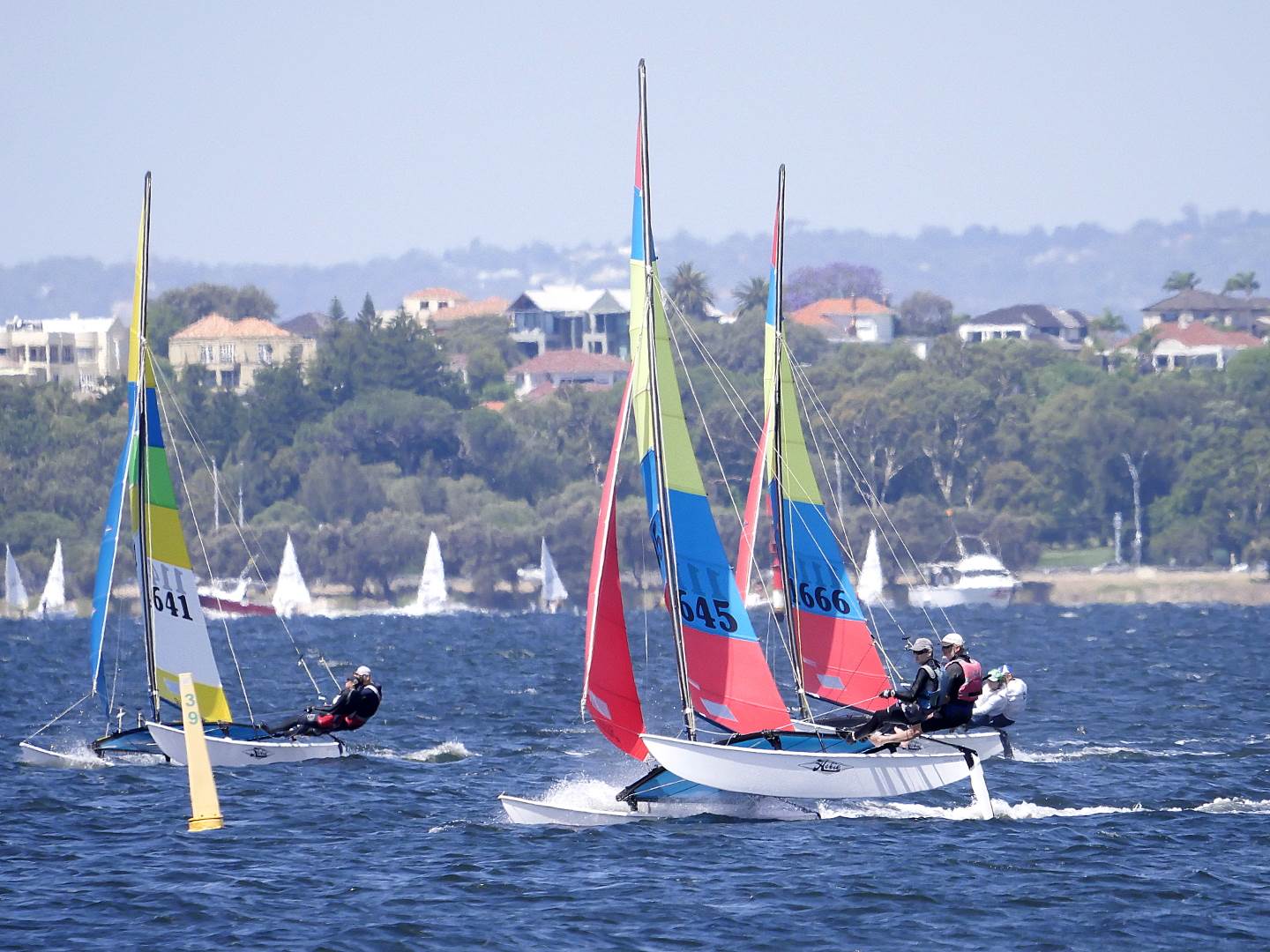 Hobie Cats NYC