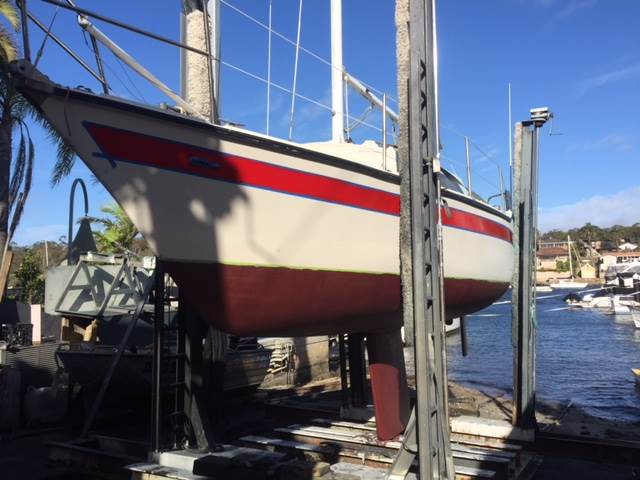 Mystere 25 'Lady in Red'