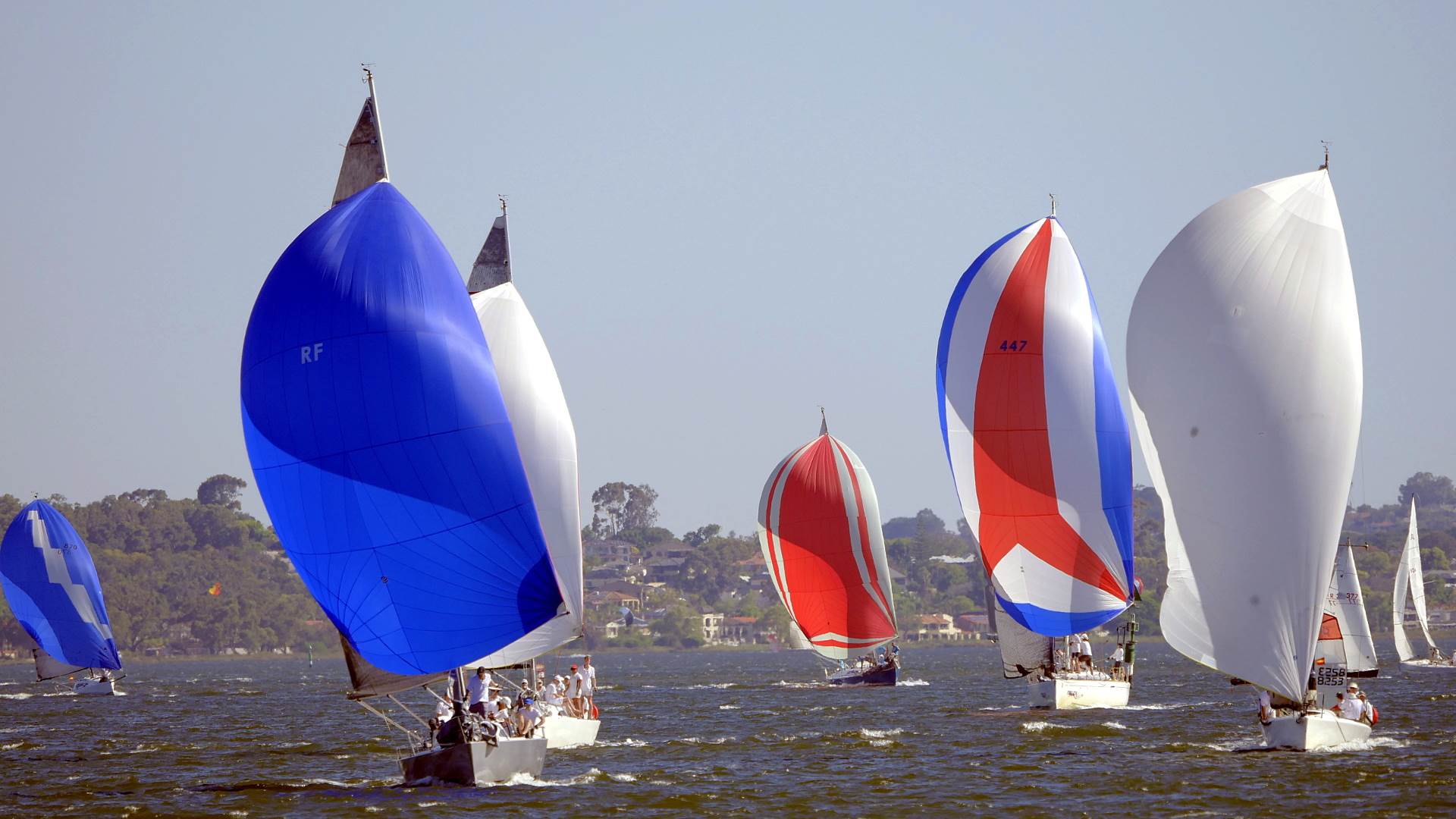 Big Spinnakers