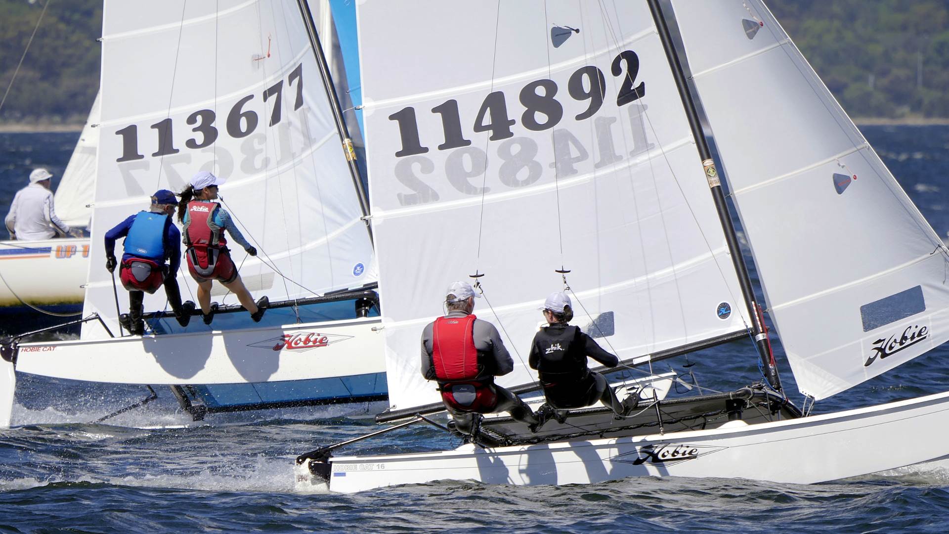 Hobie Cats NYC