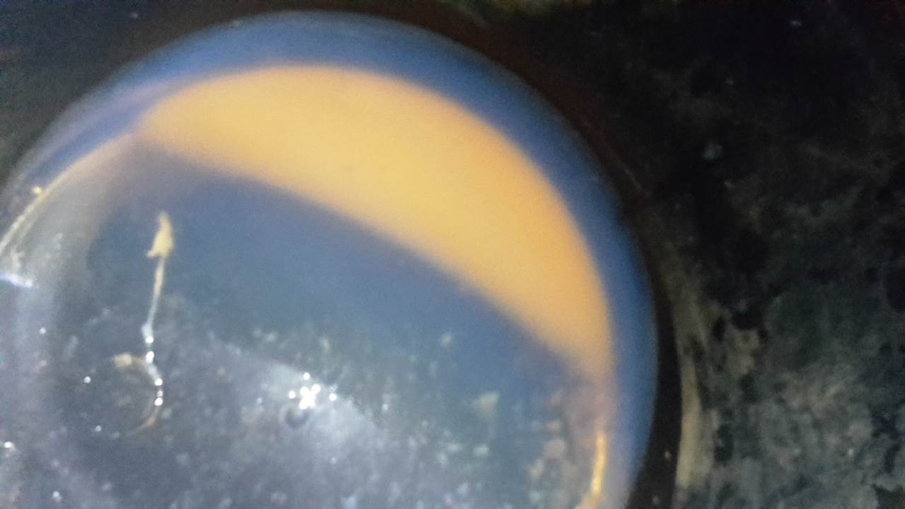 20180127 194953