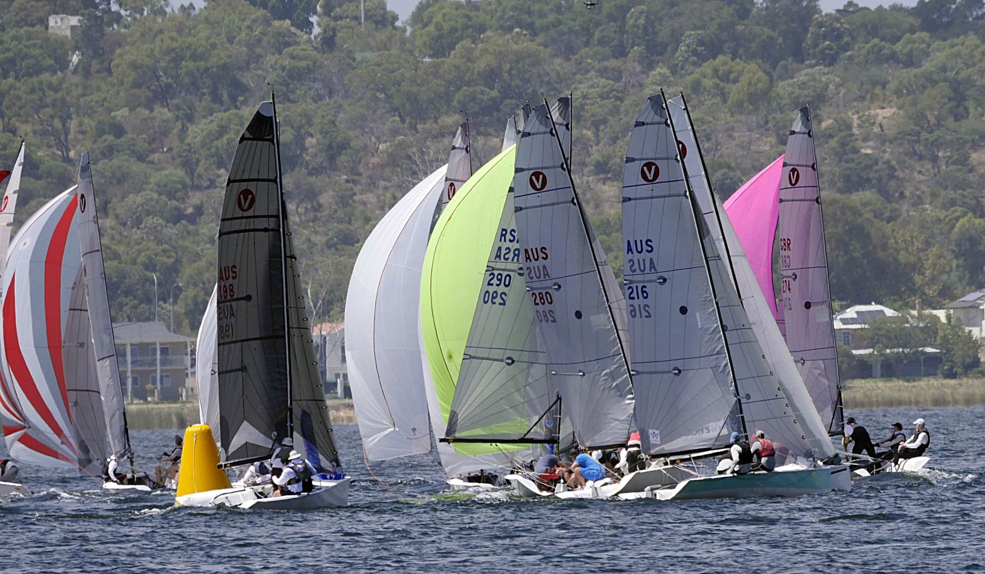 World Viper Championships