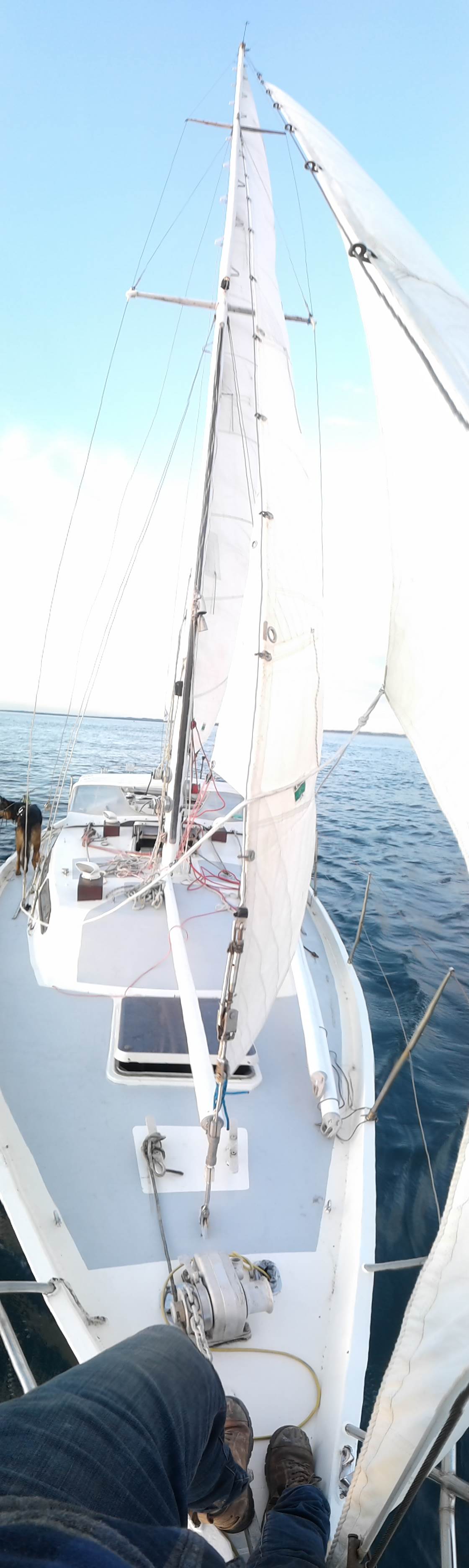 40foot Adams