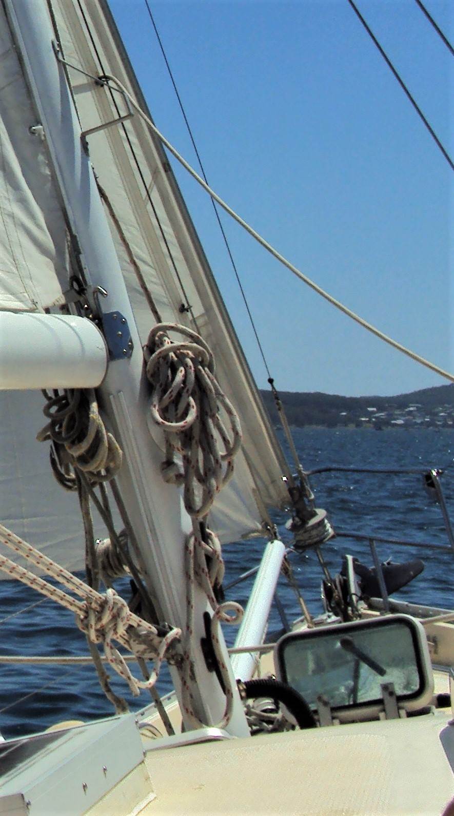 DSC00602
