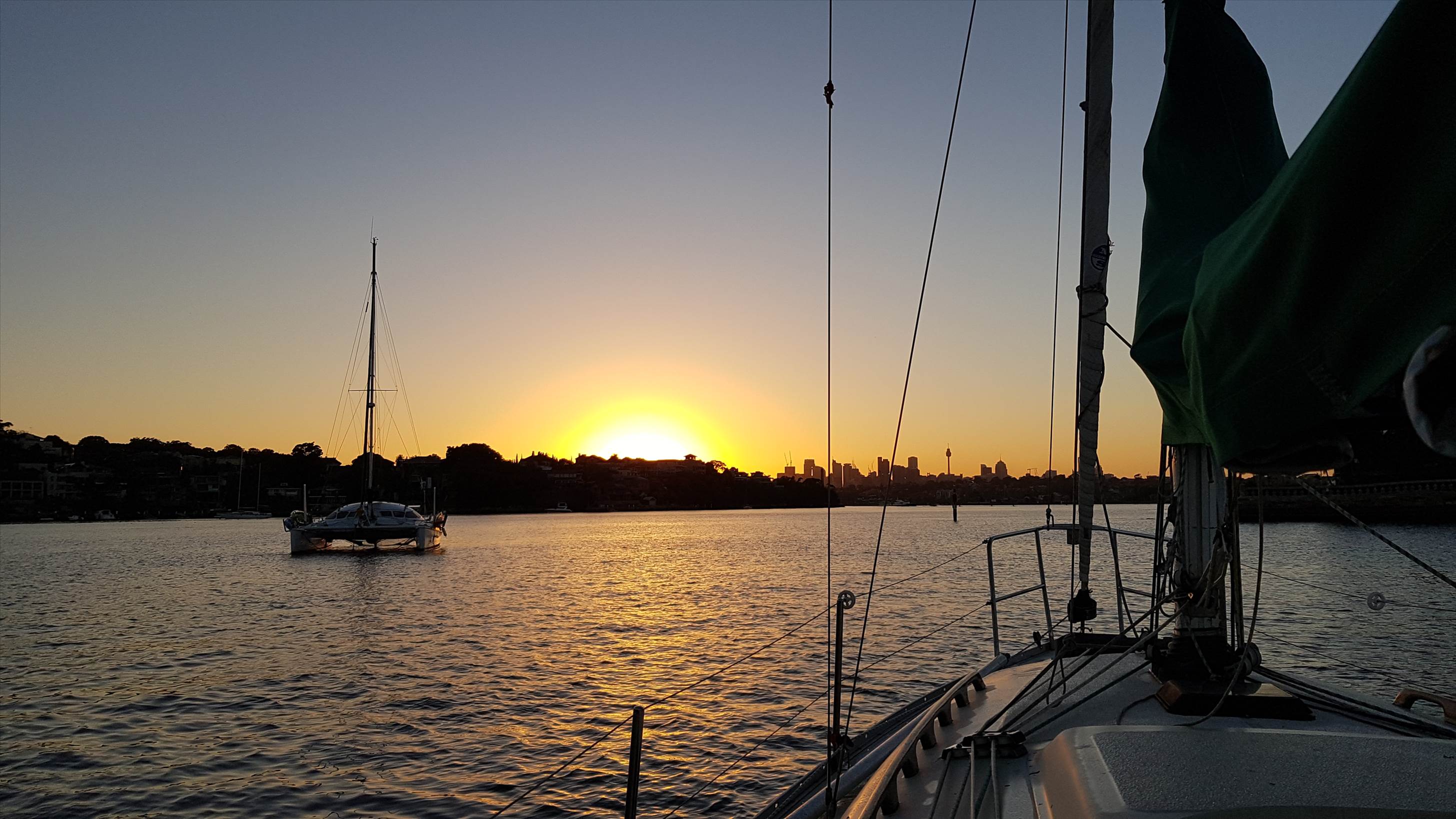 Sydney harbour sailing