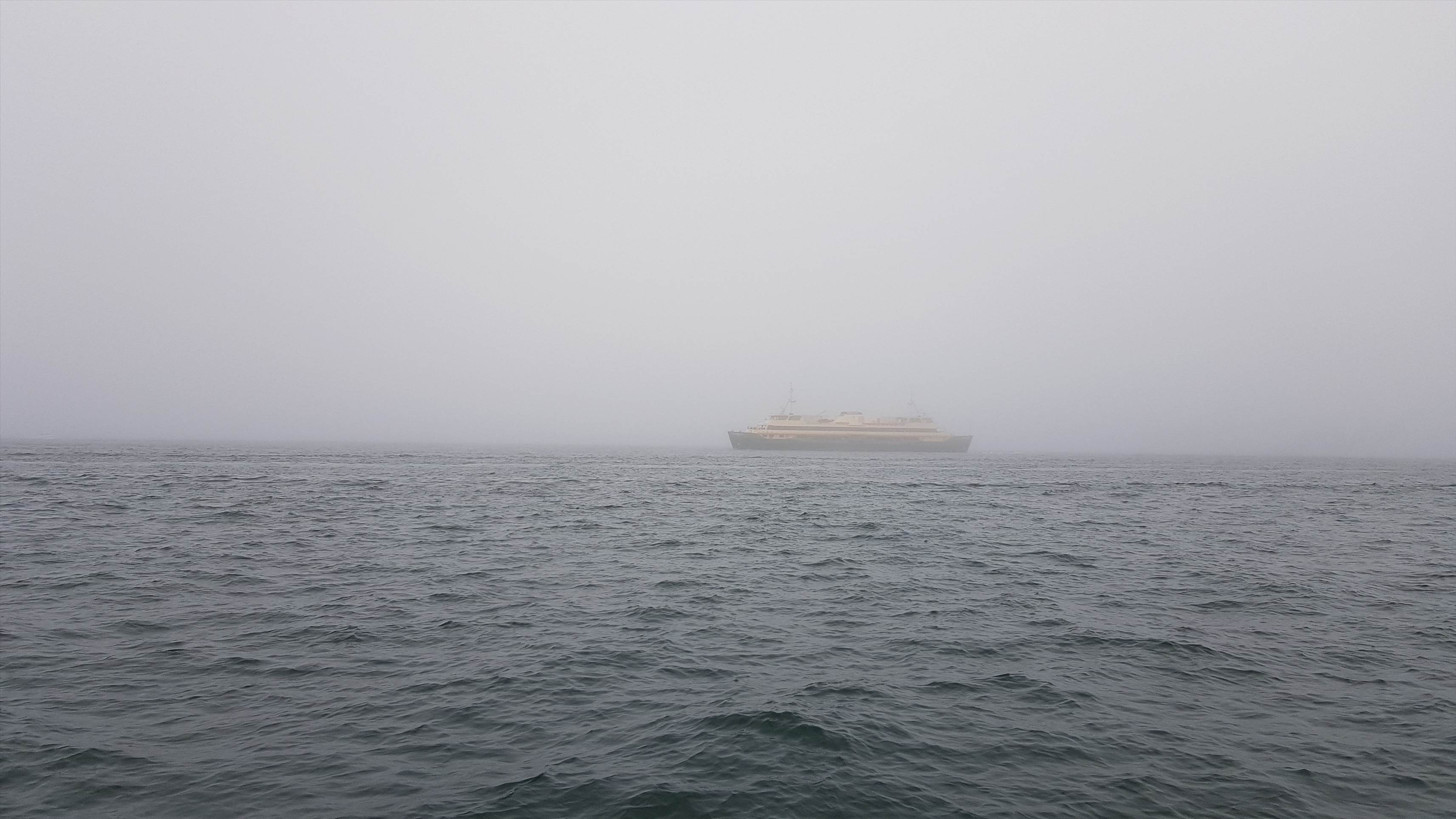 Sydney Harbour Sea Fog
