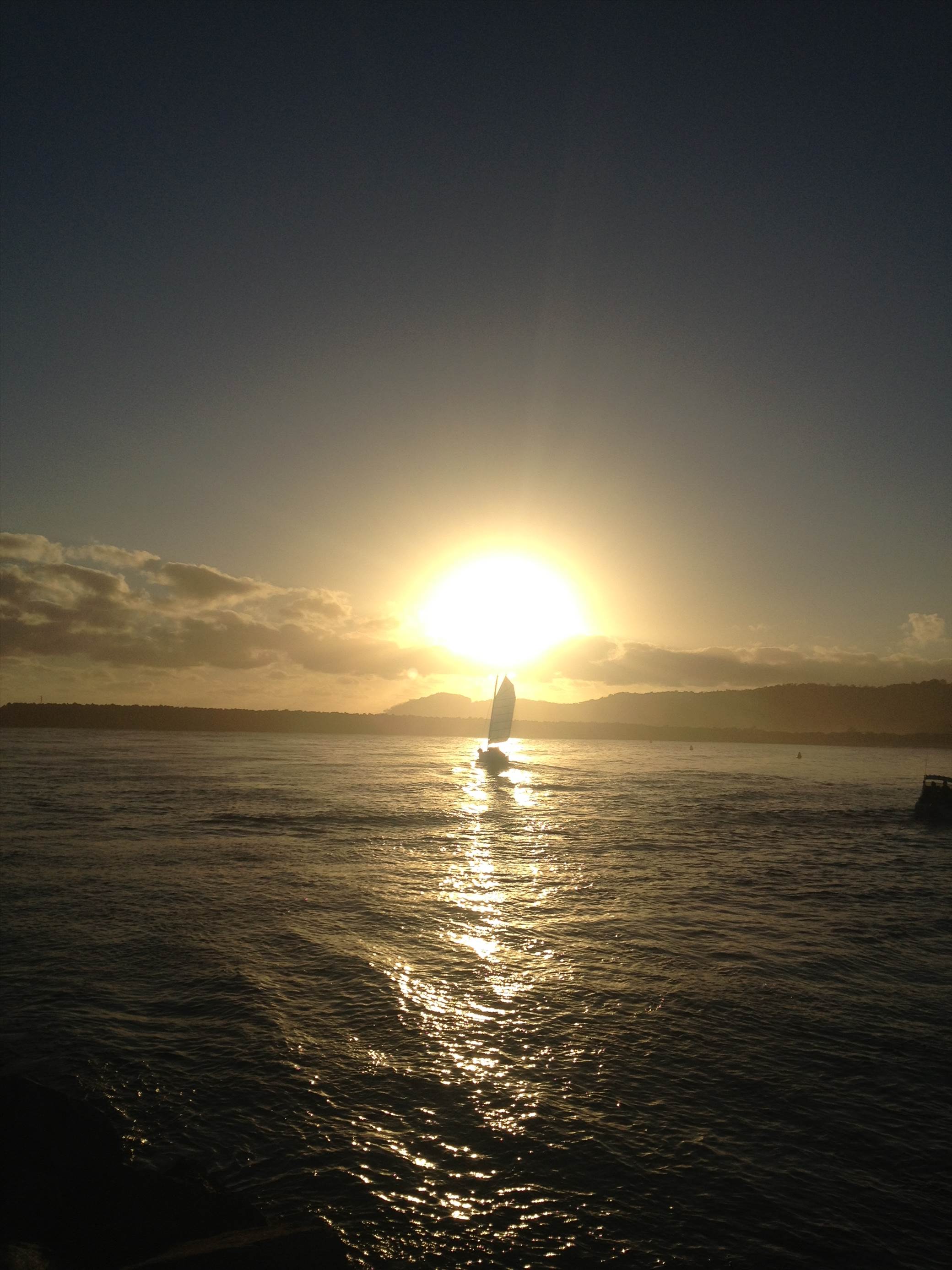 photo (2)