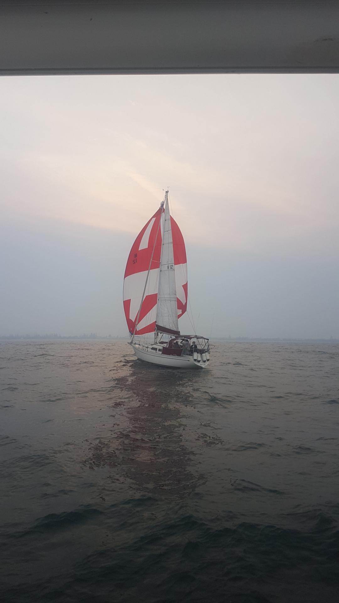 Paloma, a Cav32 in Newcastle