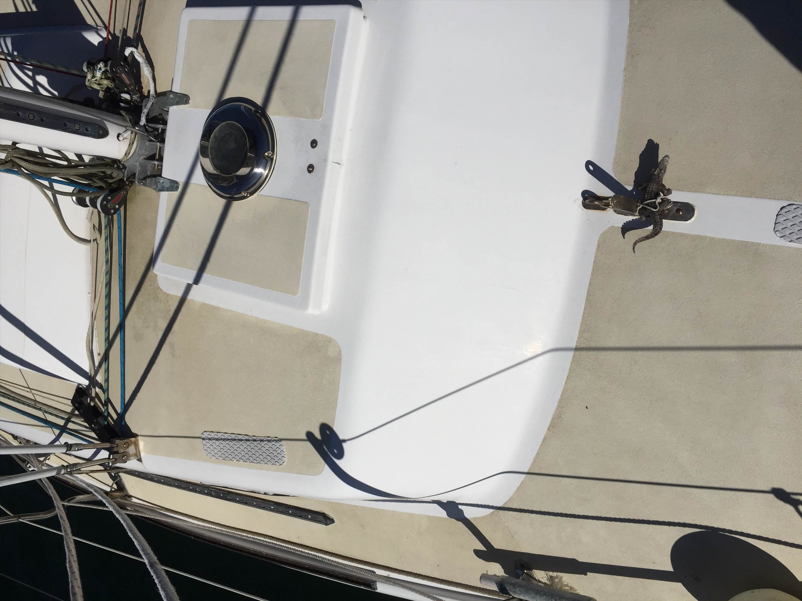 Foredeck