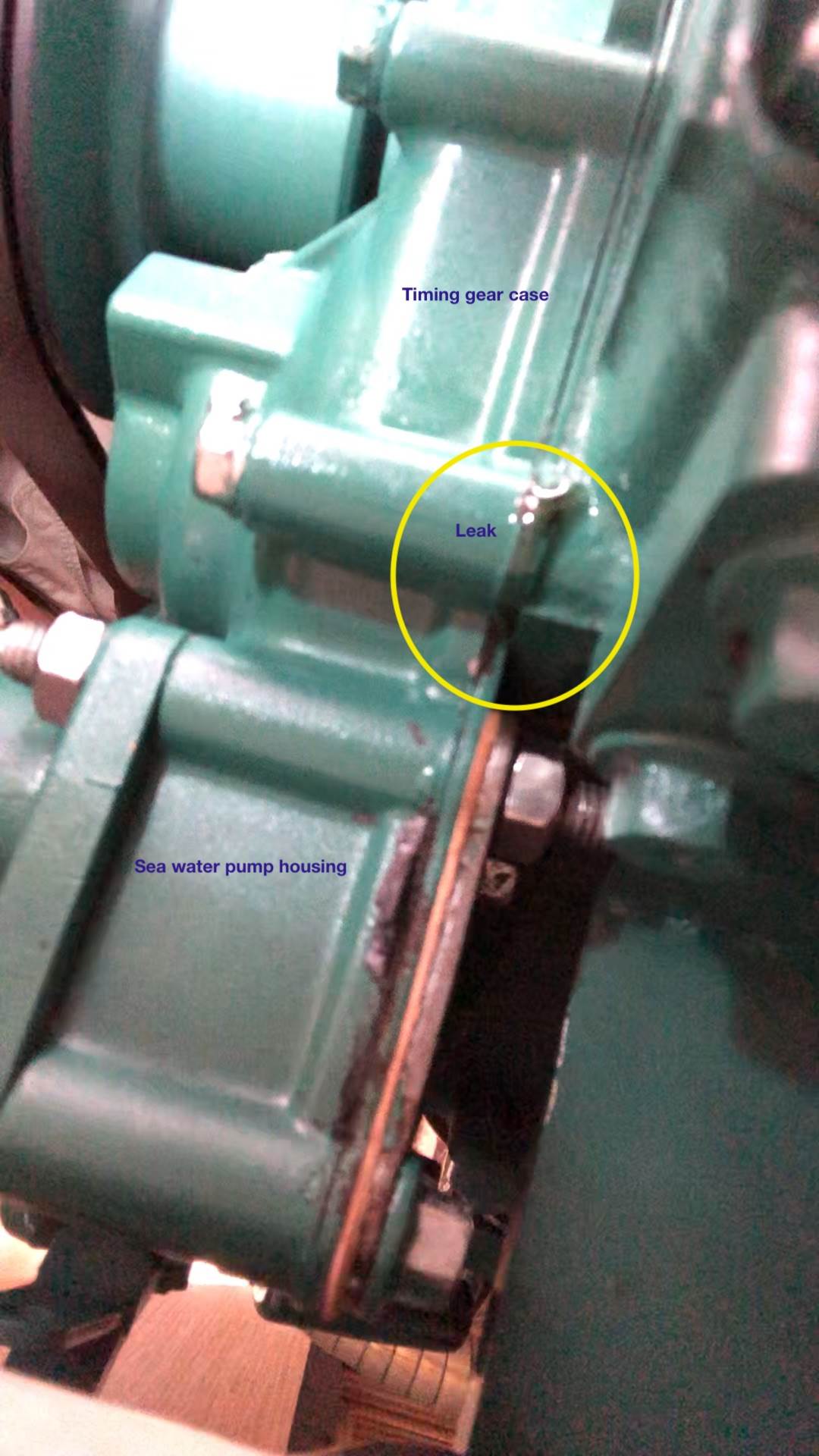 Oil leak viewed from below