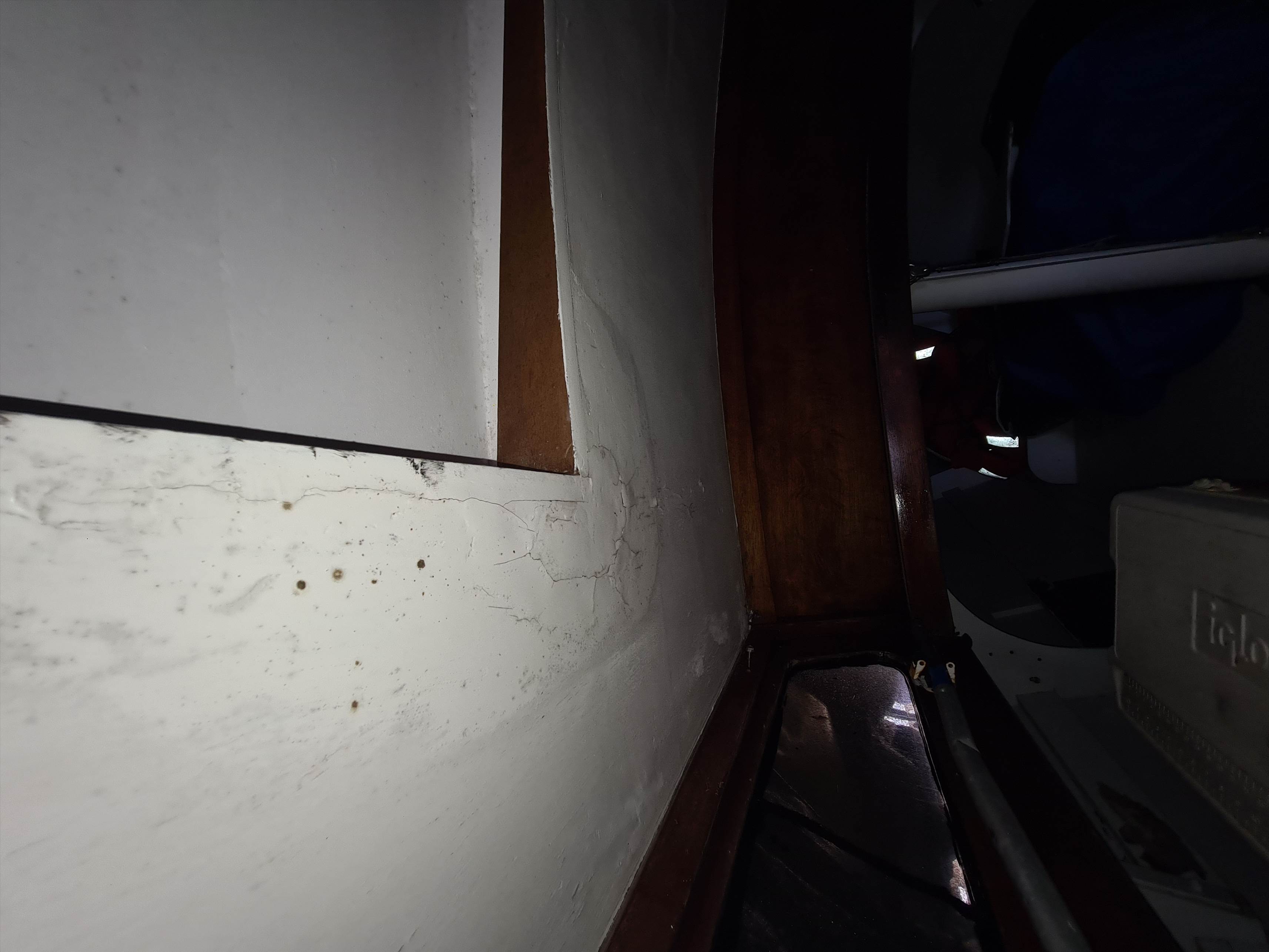 Snowgoose interior