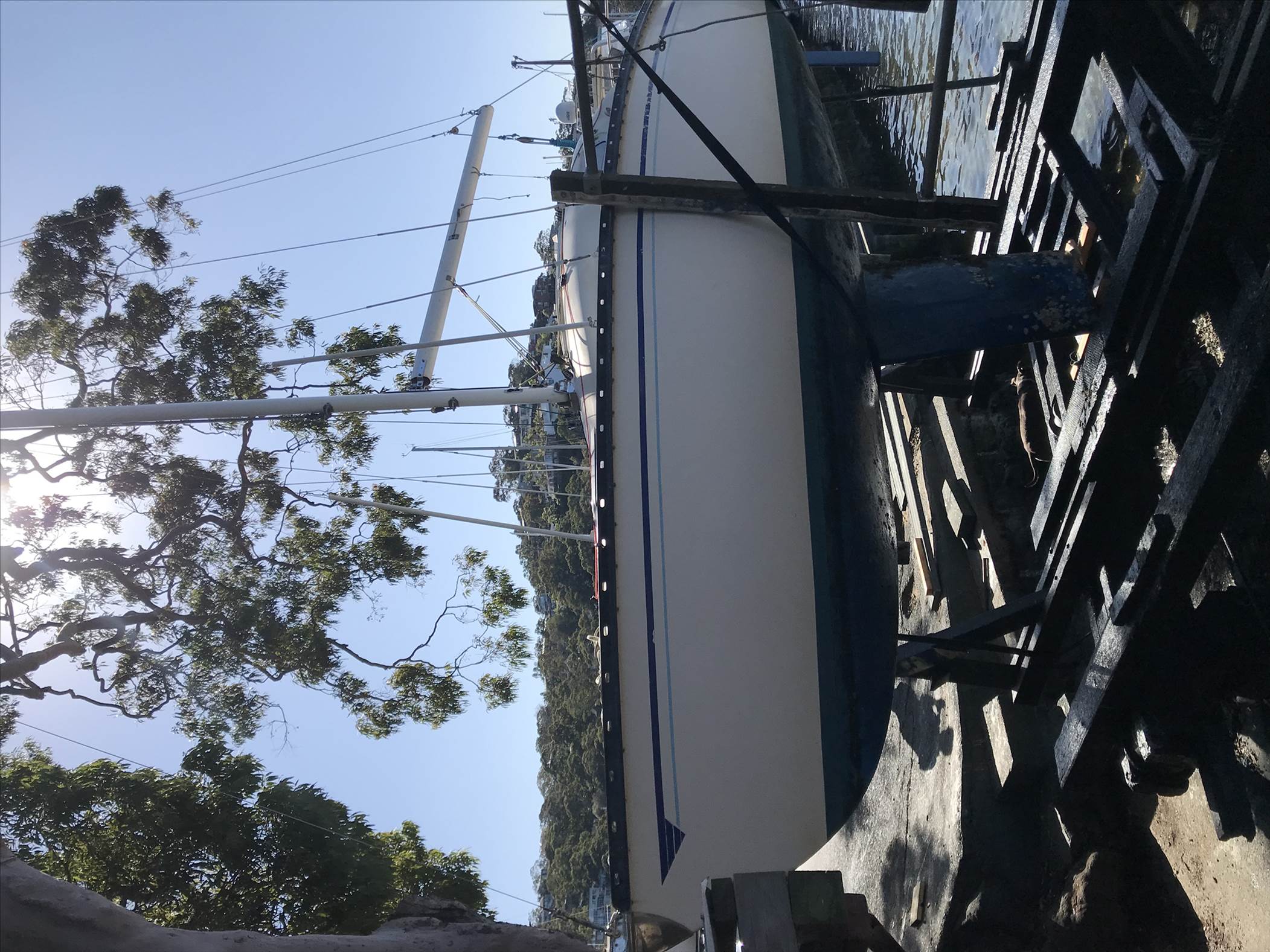 Tasman 22