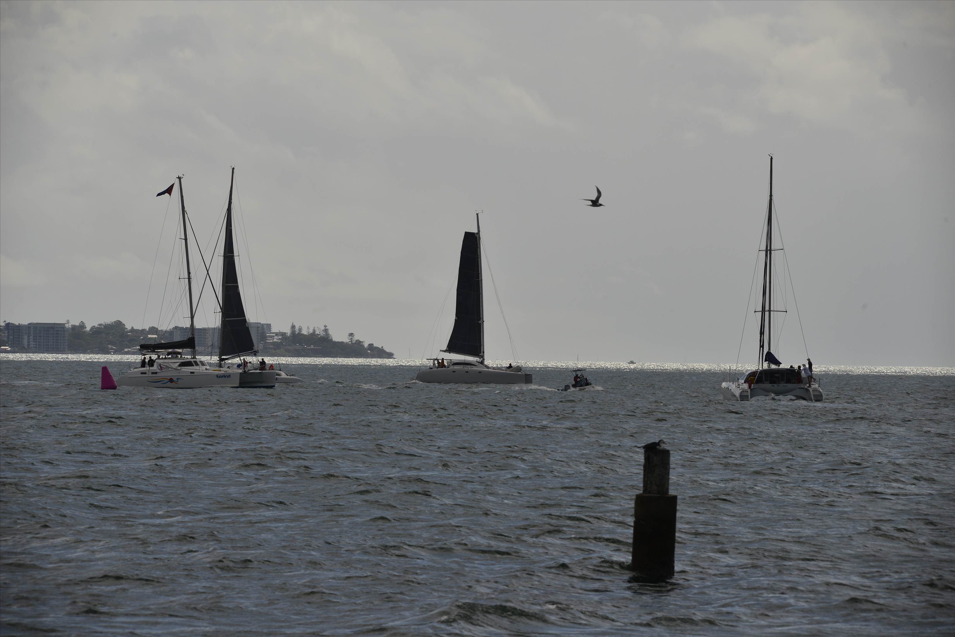 2019 Brisbane to Gladstone Multihull Yacht Race