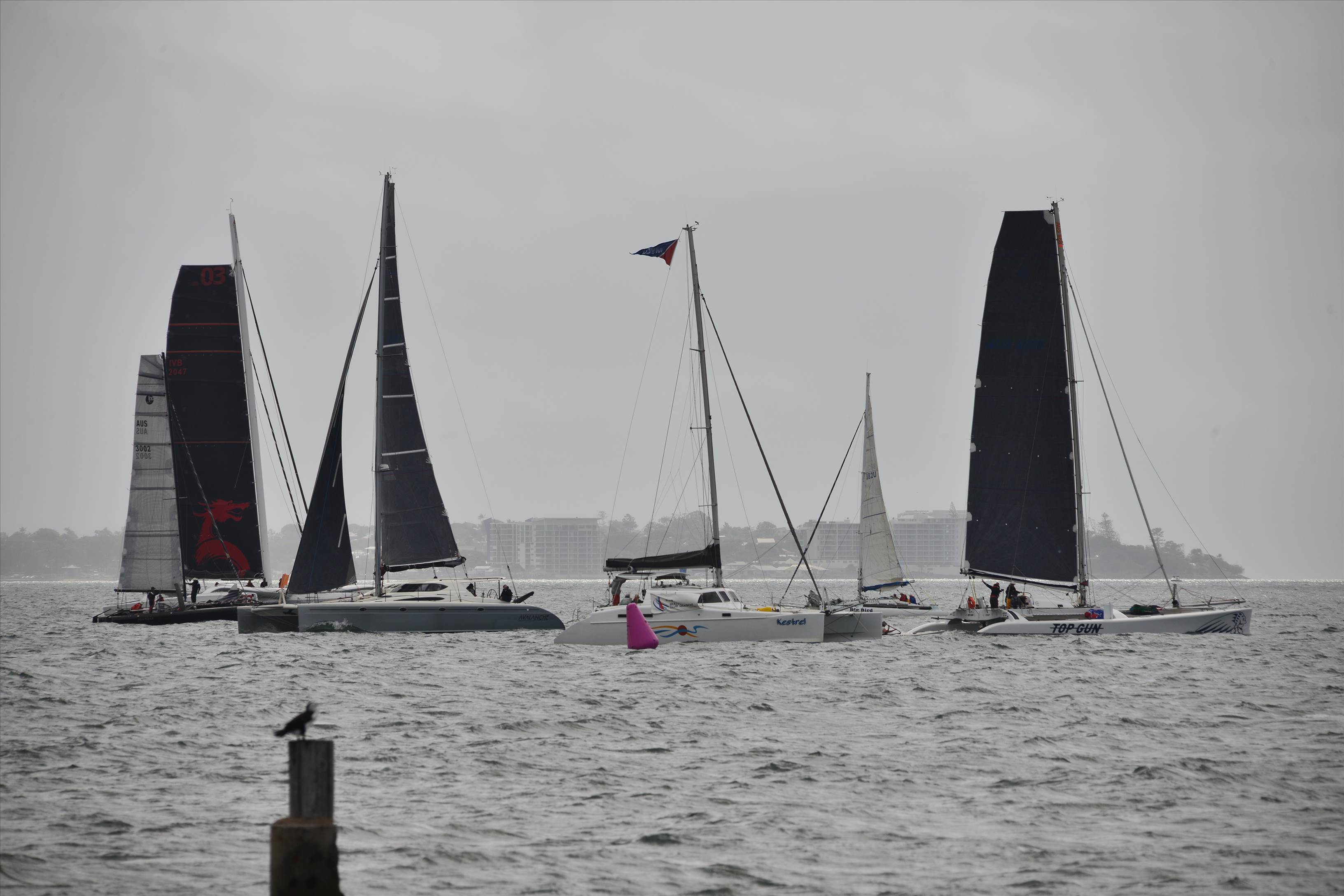 2019 Brisbane to Gladstone Multihull Yacht Race