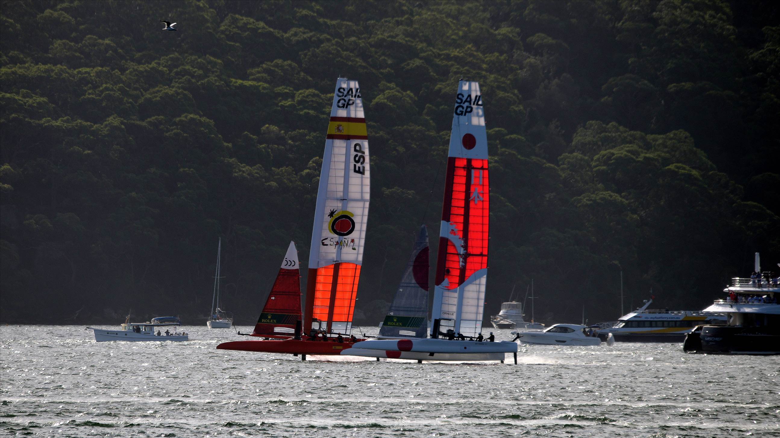 2020 Sail GP Sydney (Friday)