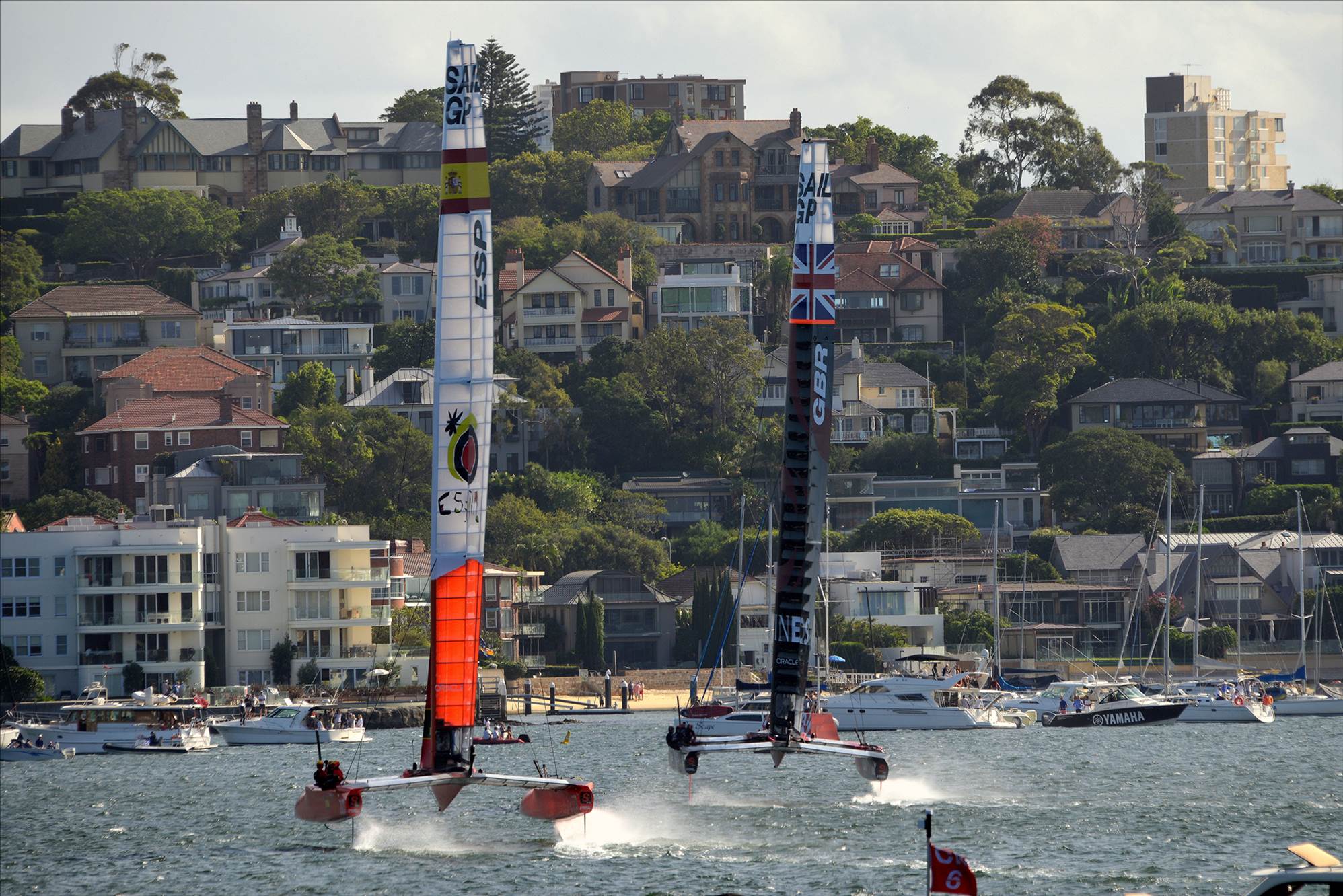 2020 Sail GP Sydney (Friday)