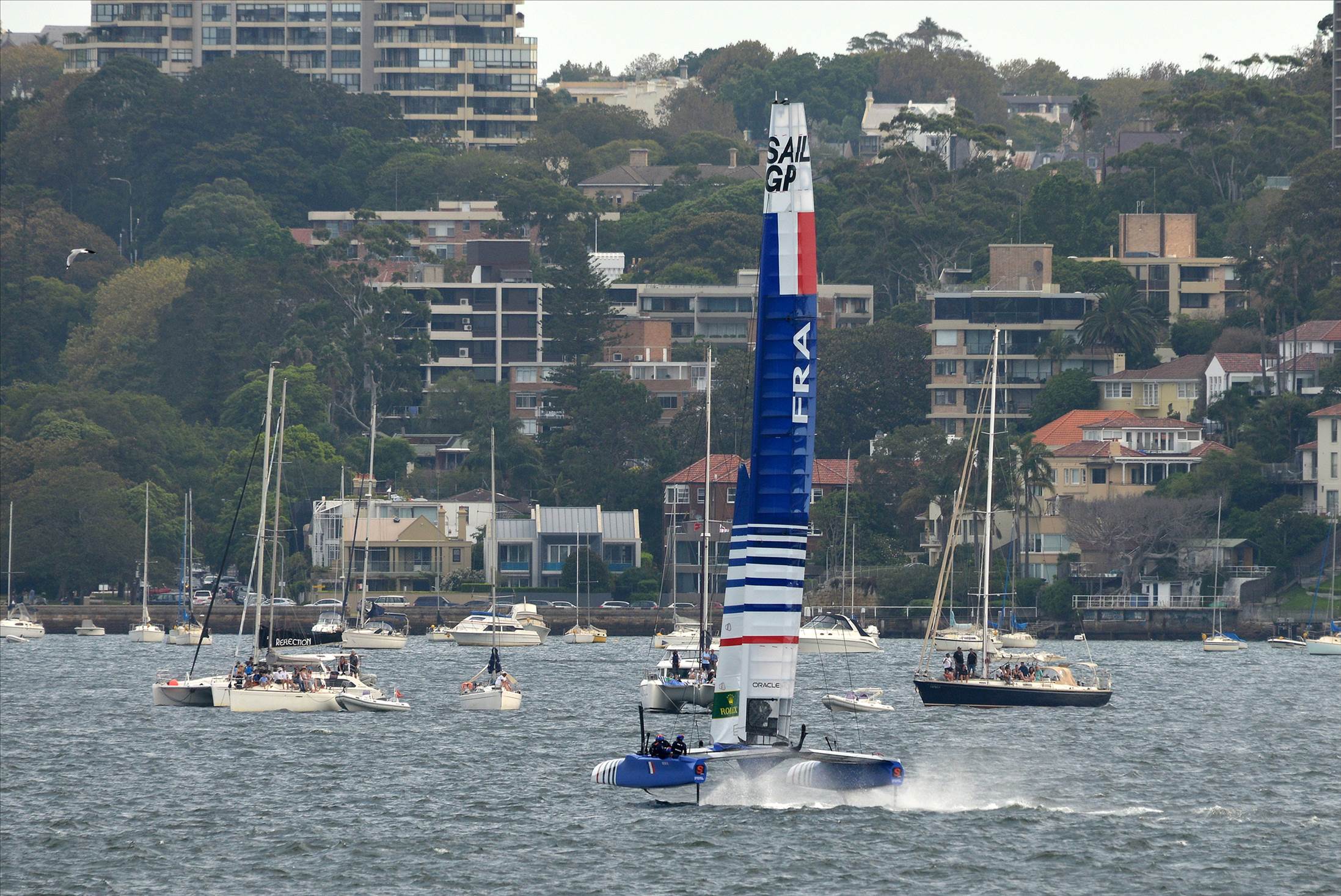2020 Sail GP Sydney (Saturday)