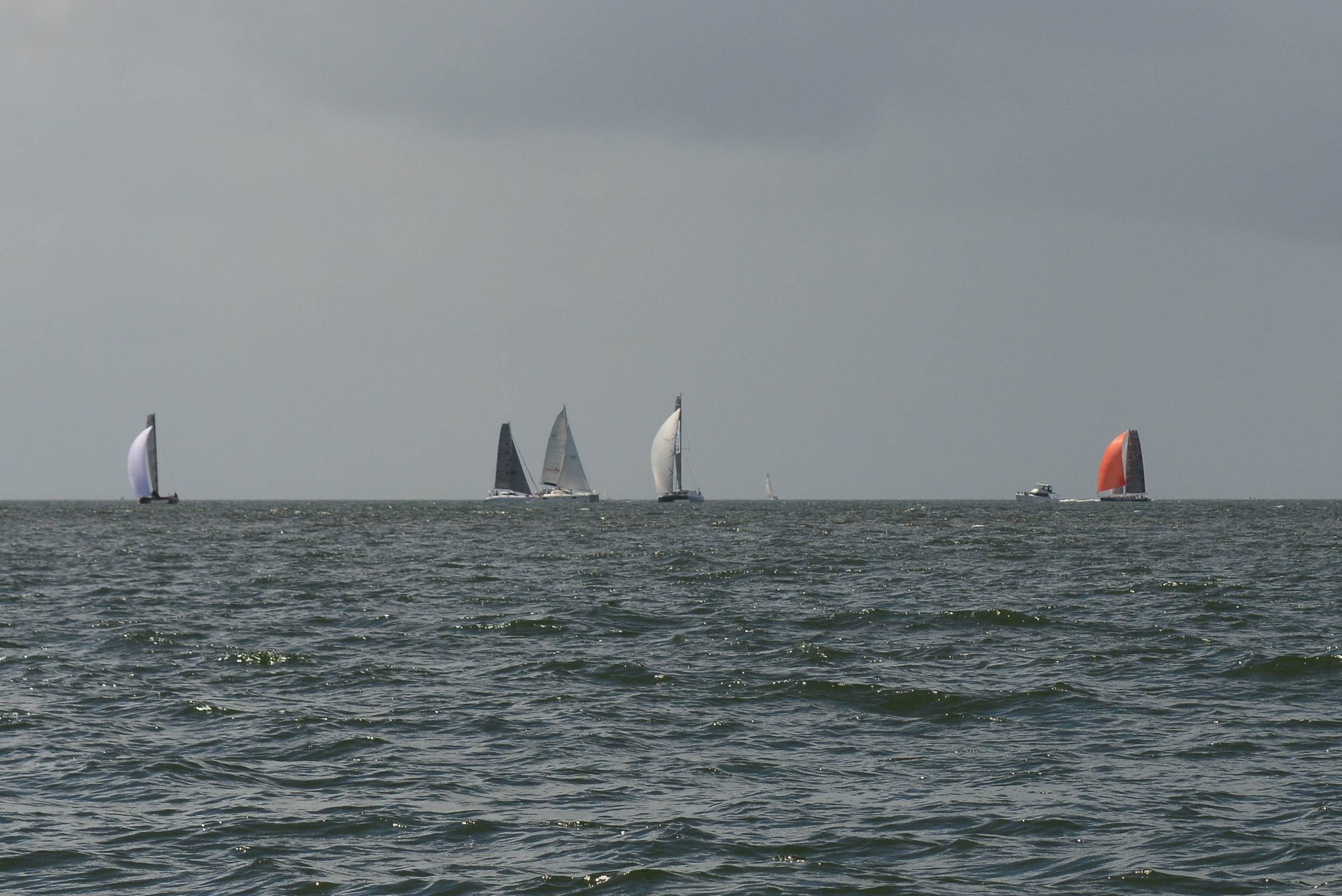 BOSS Racing (Catamaran) 2018 B2G