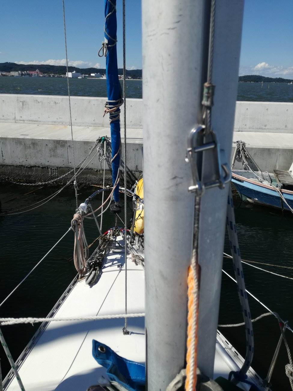 mast clean 2