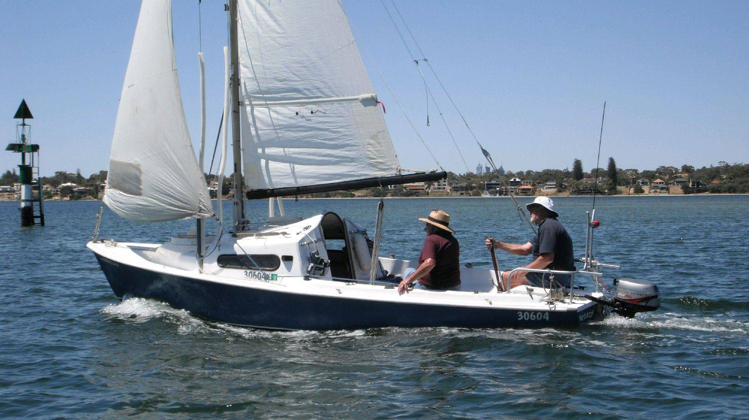 Swan Eagle 013
