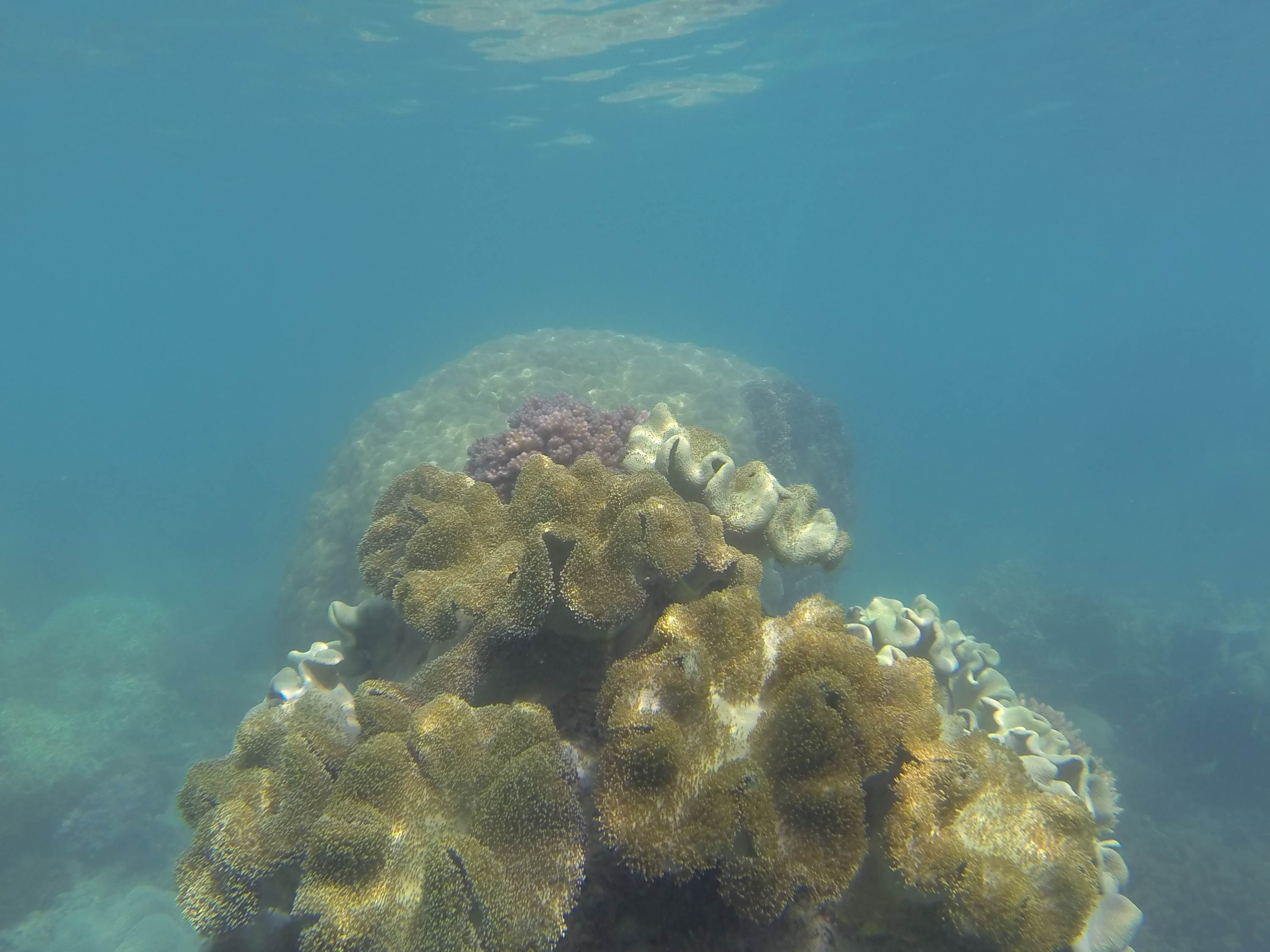 GOPR0474