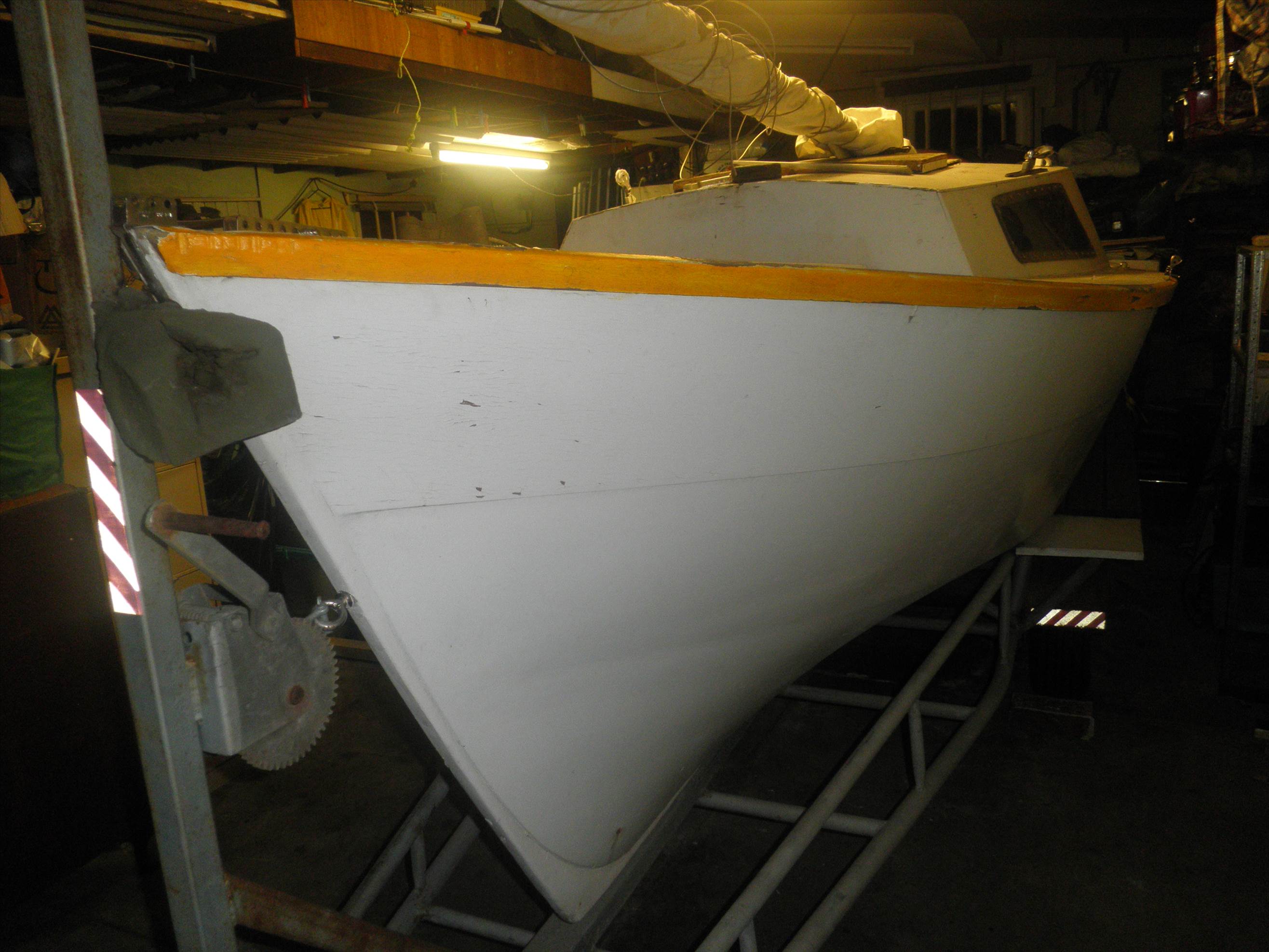 P5100122 (2).jpgBBB