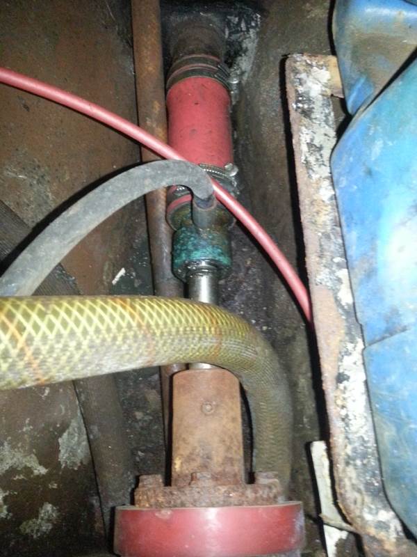 Stern gland