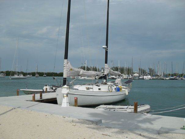 freedom 33